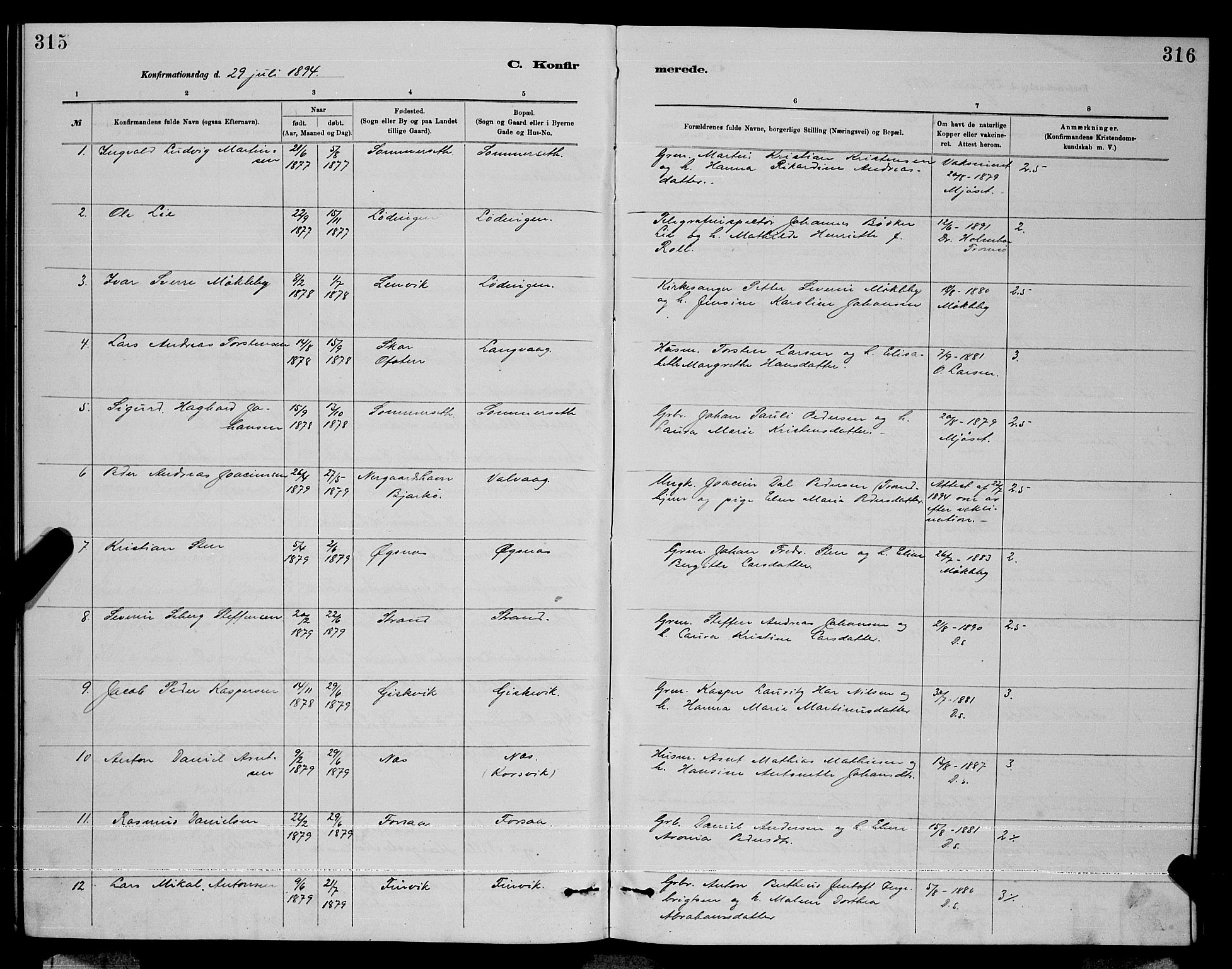 Ministerialprotokoller, klokkerbøker og fødselsregistre - Nordland, AV/SAT-A-1459/872/L1047: Parish register (copy) no. 872C03, 1880-1897, p. 315-316