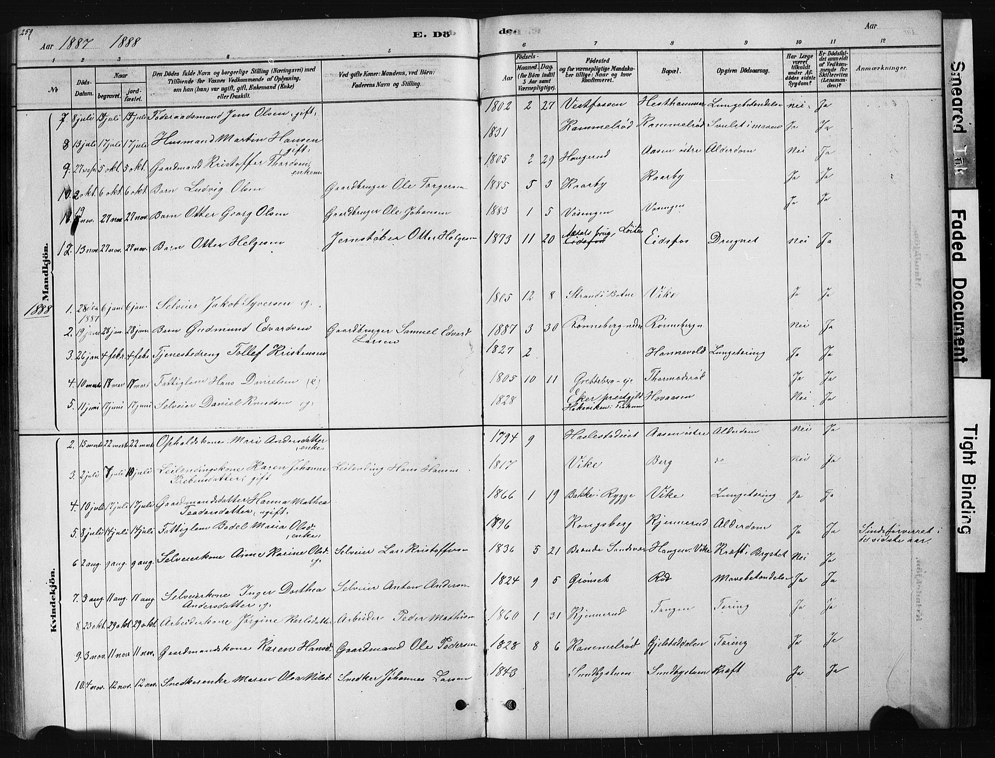 Hof kirkebøker, AV/SAKO-A-64/G/Ga/L0004: Parish register (copy) no. I 4, 1878-1930, p. 259