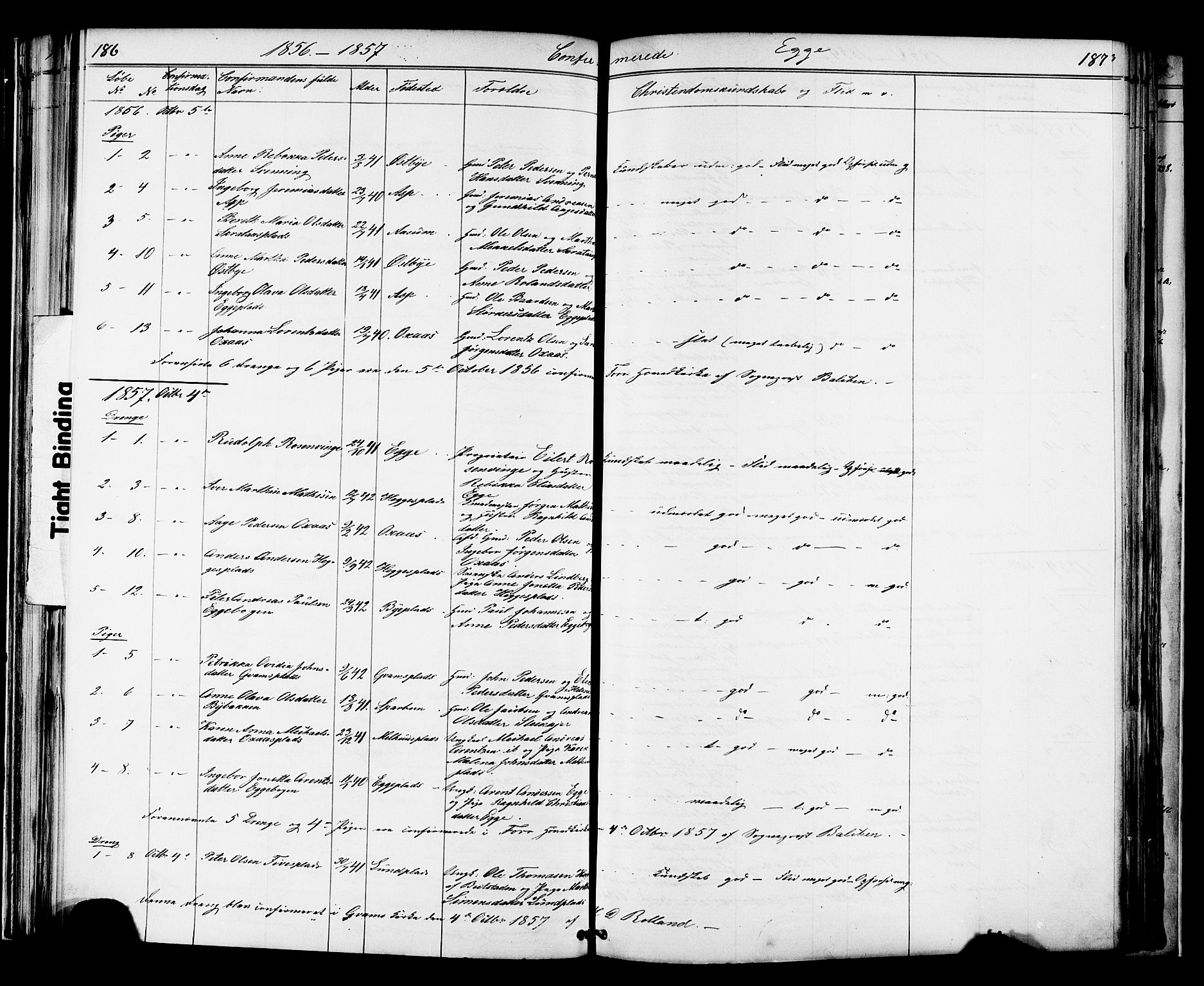 Ministerialprotokoller, klokkerbøker og fødselsregistre - Nord-Trøndelag, SAT/A-1458/739/L0367: Parish register (official) no. 739A01 /3, 1838-1868, p. 186-187