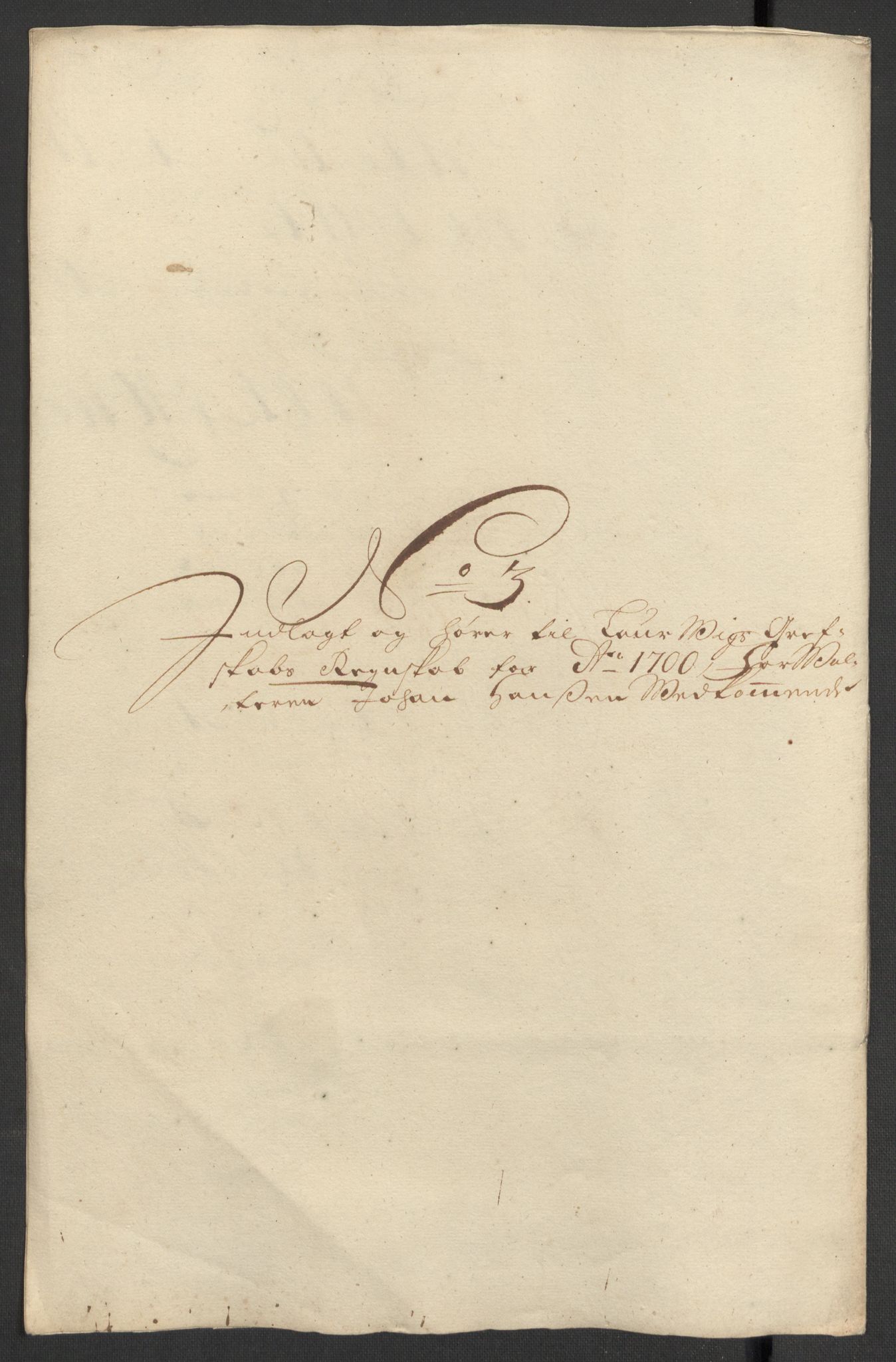 Rentekammeret inntil 1814, Reviderte regnskaper, Fogderegnskap, RA/EA-4092/R33/L1976: Fogderegnskap Larvik grevskap, 1698-1701, p. 224