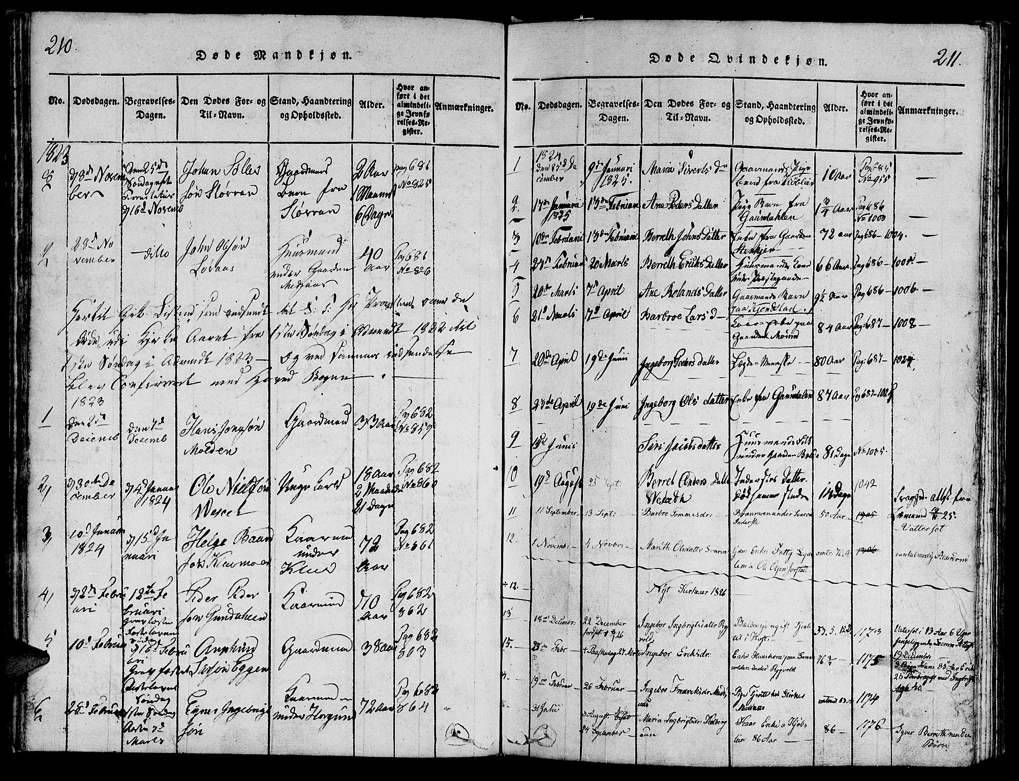Ministerialprotokoller, klokkerbøker og fødselsregistre - Nord-Trøndelag, SAT/A-1458/749/L0479: Parish register (copy) no. 749C01, 1817-1829, p. 210-211