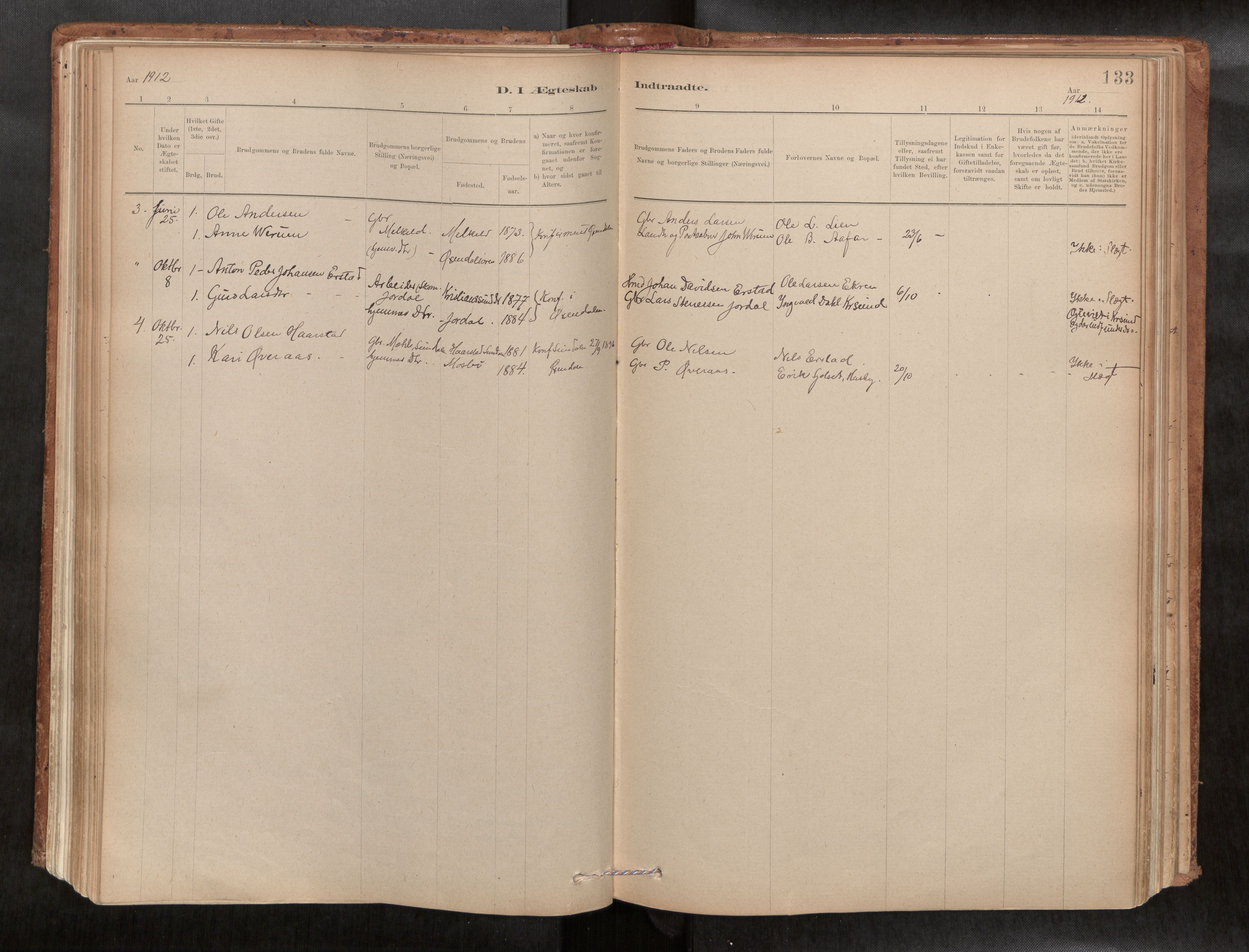 Ministerialprotokoller, klokkerbøker og fødselsregistre - Møre og Romsdal, SAT/A-1454/588/L1006: Parish register (official) no. 588A03, 1886-1912, p. 133