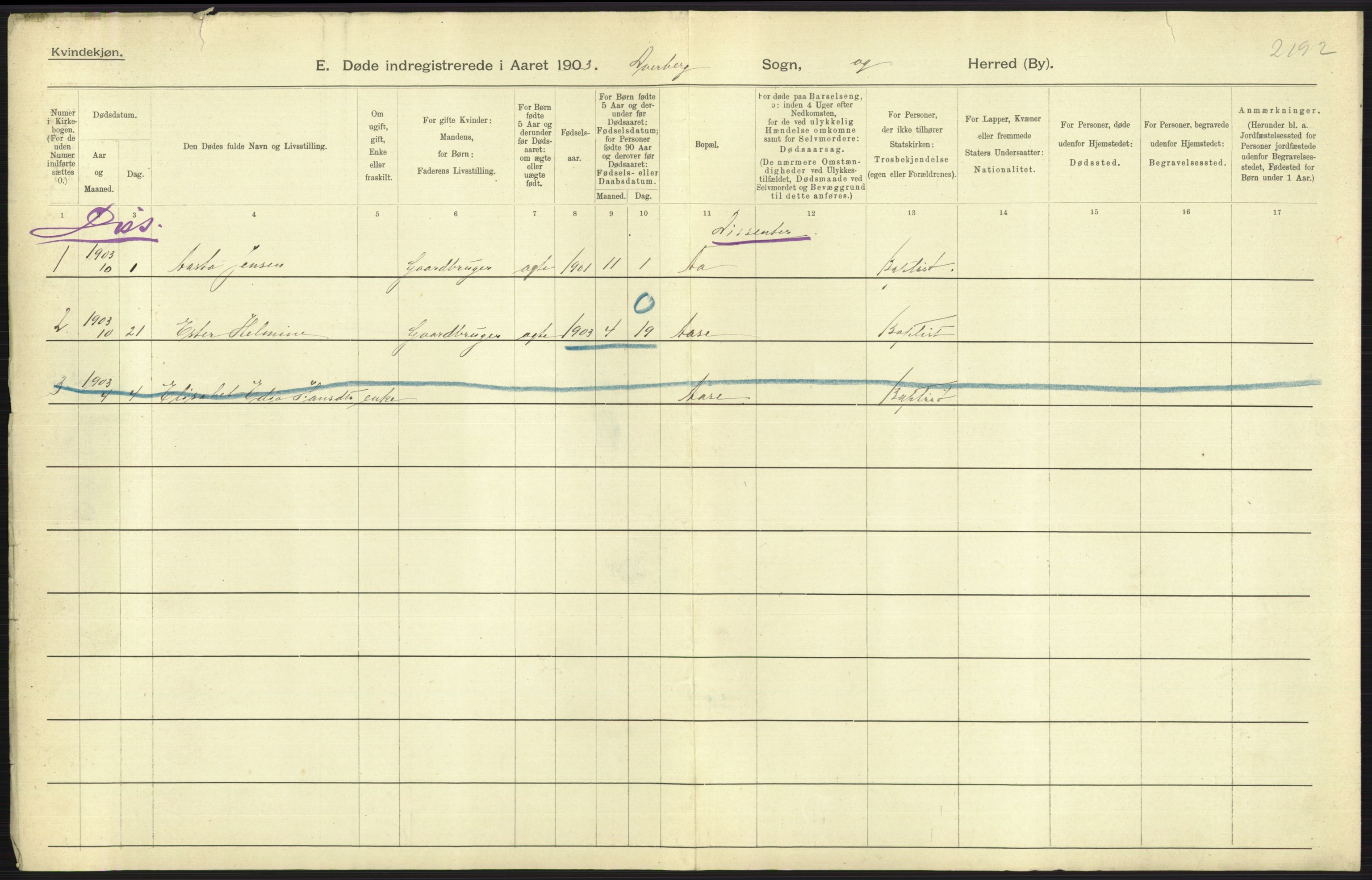 Statistisk sentralbyrå, Sosiodemografiske emner, Befolkning, AV/RA-S-2228/D/Df/Dfa/Dfaa/L0019: Nordlands amt: Fødte, gifte, døde., 1903, p. 249