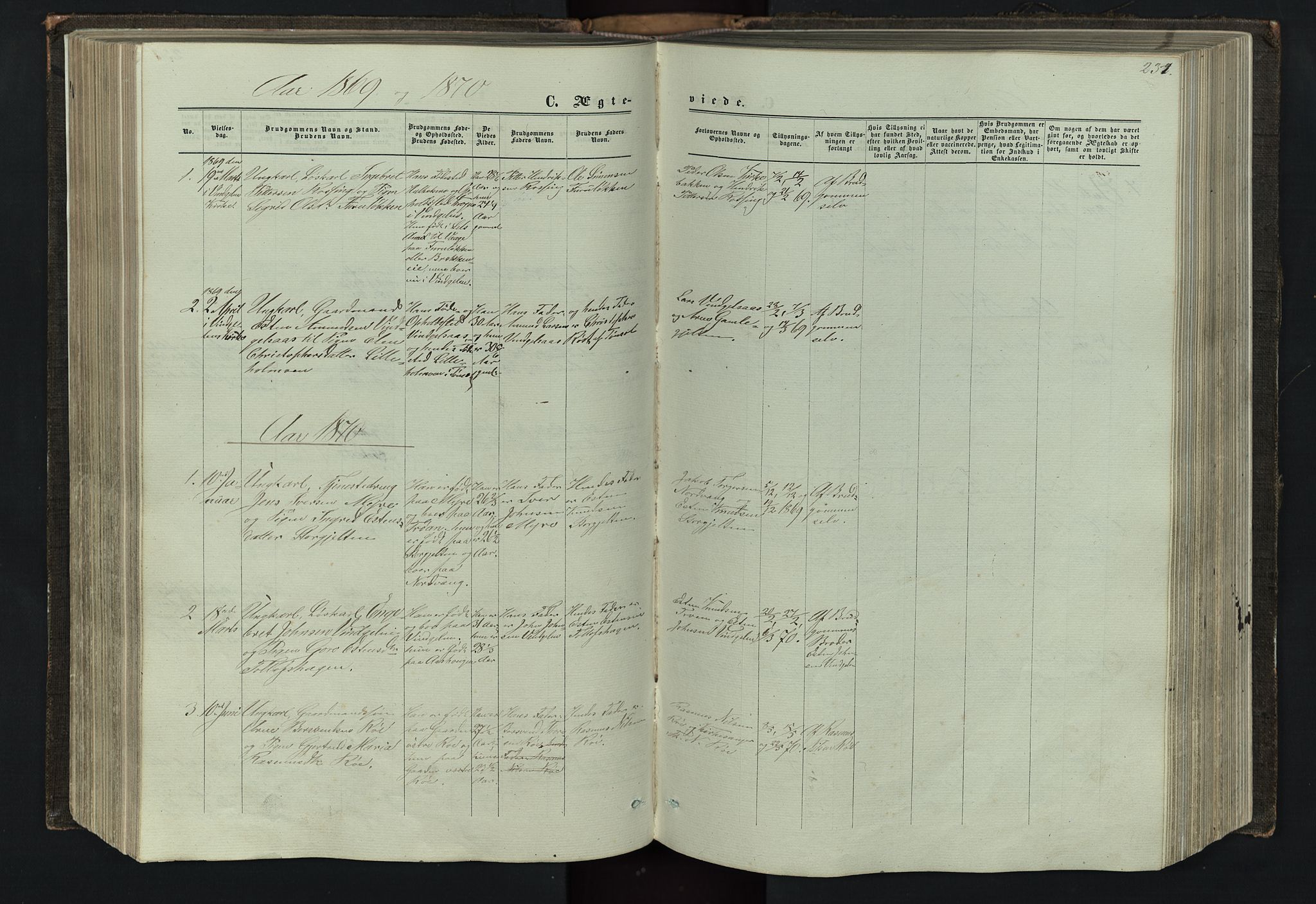 Tolga prestekontor, AV/SAH-PREST-062/L/L0005: Parish register (copy) no. 5, 1862-1893, p. 231