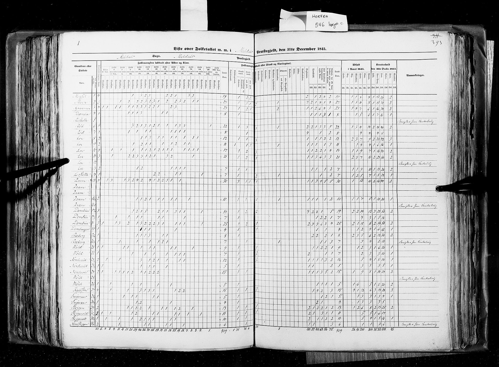 RA, Census 1845, vol. 8: Romsdal amt og Søndre Trondhjems amt, 1845, p. 393