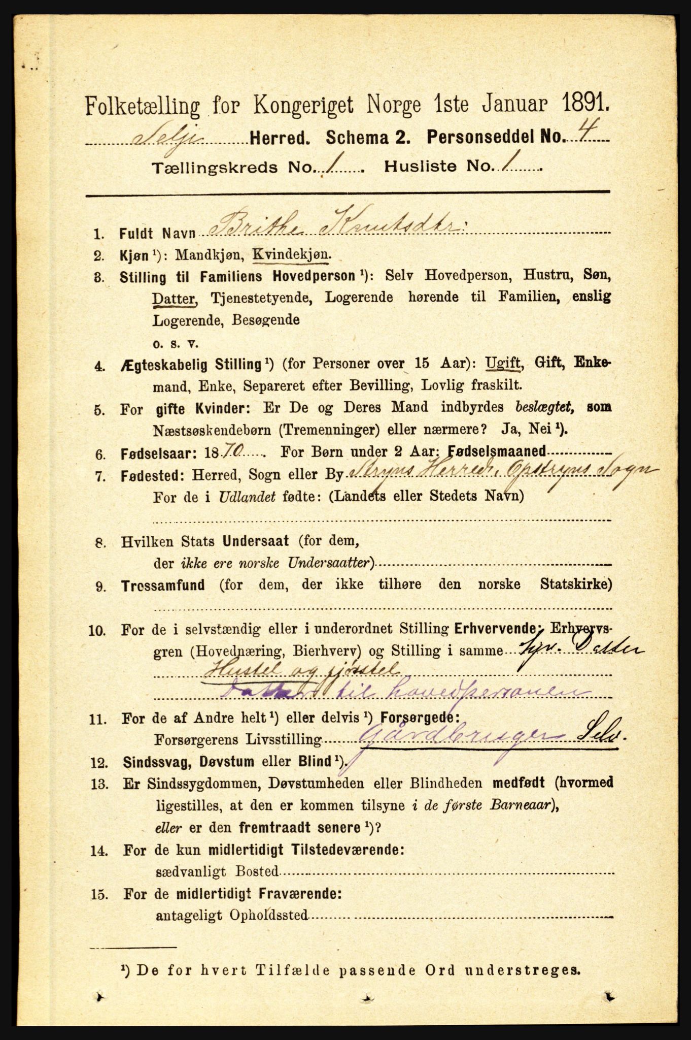 RA, 1891 census for 1441 Selje, 1891, p. 98