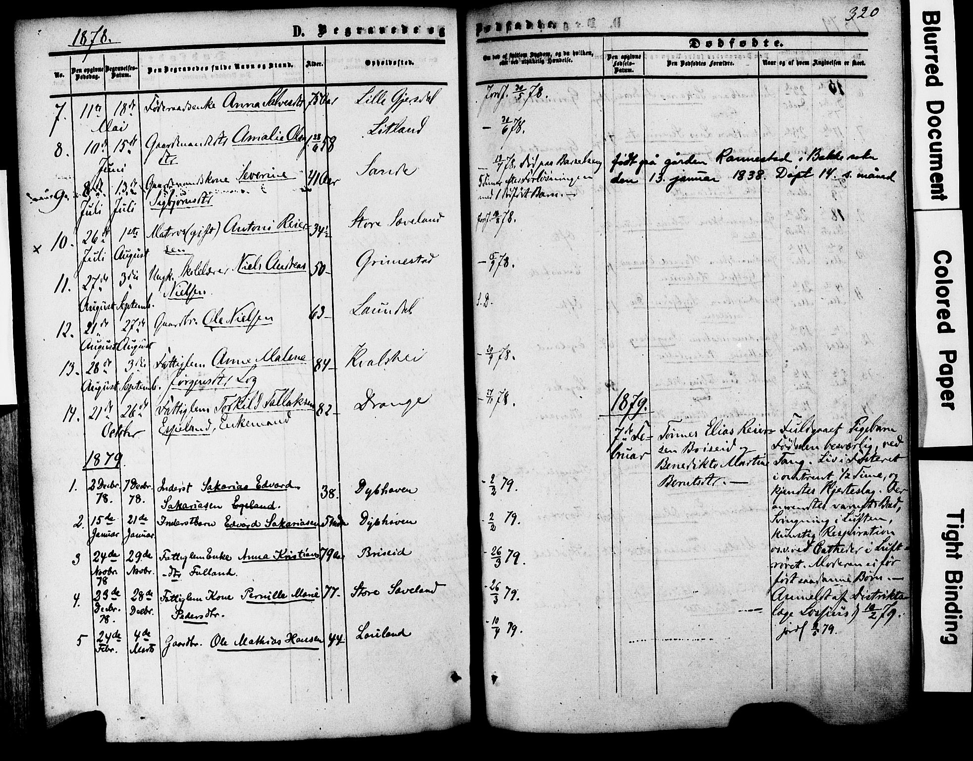 Herad sokneprestkontor, AV/SAK-1111-0018/F/Fa/Faa/L0005: Parish register (official) no. A 5, 1853-1886, p. 320