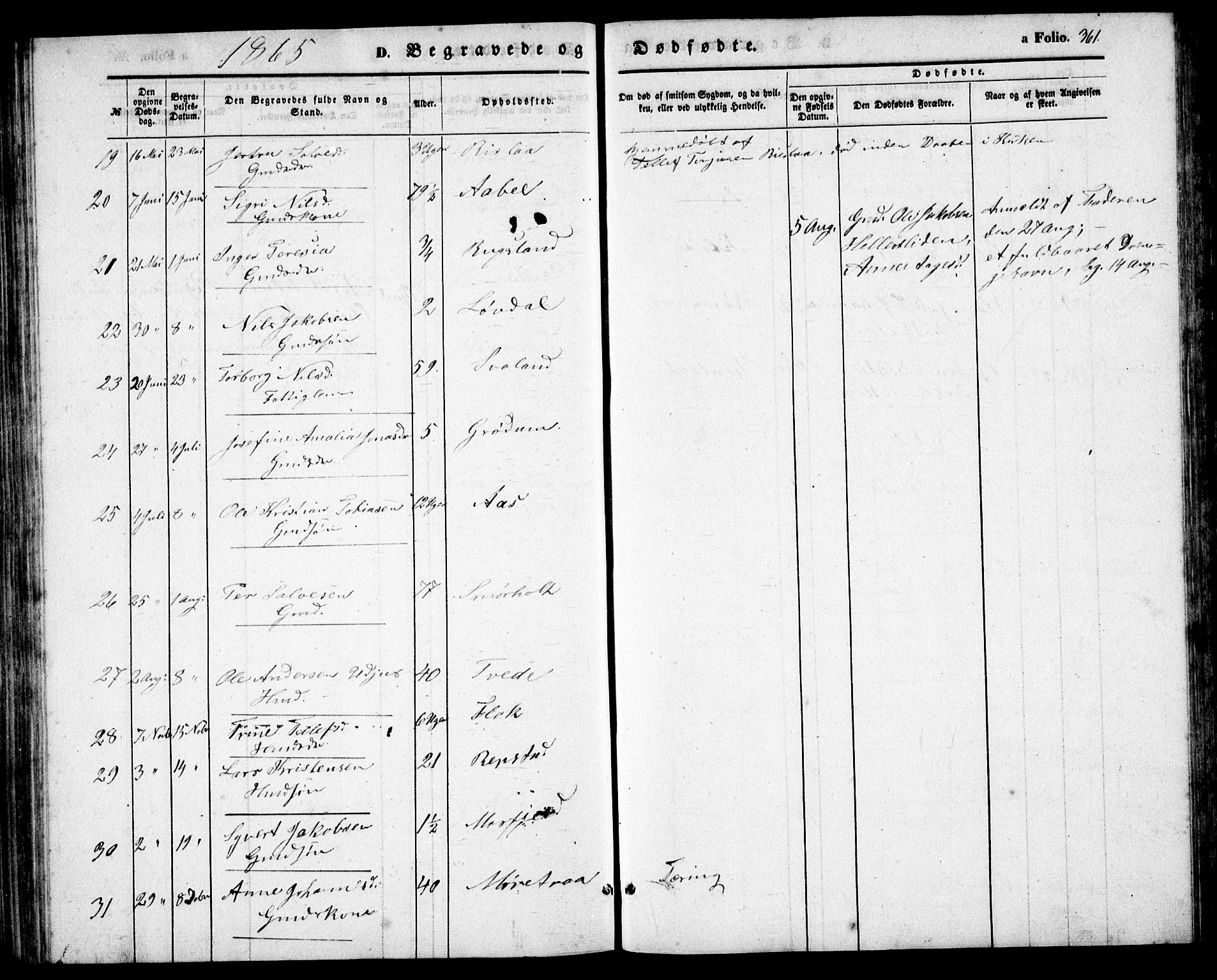 Birkenes sokneprestkontor, AV/SAK-1111-0004/F/Fb/L0002: Parish register (copy) no. B 2, 1849-1876, p. 361