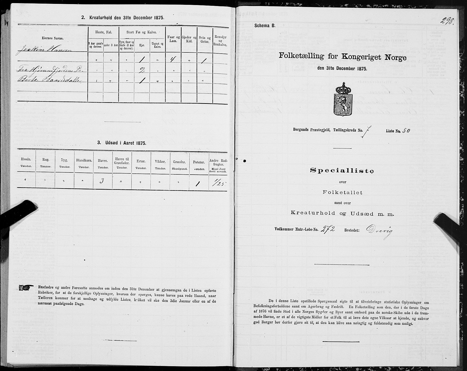 SAT, 1875 census for 1531P Borgund, 1875, p. 4293