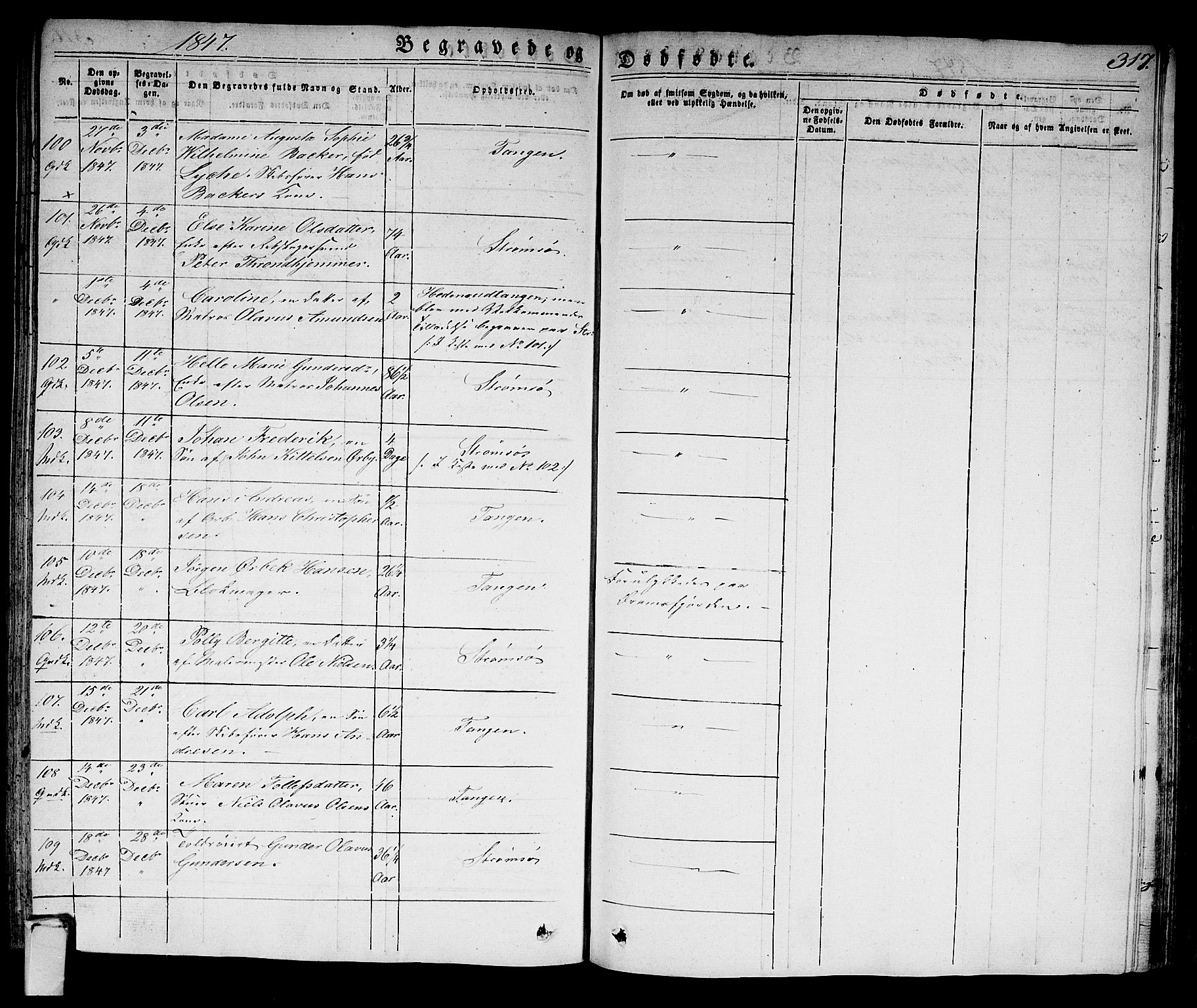 Strømsø kirkebøker, AV/SAKO-A-246/F/Fa/L0012: Parish register (official) no. I 12, 1830-1847, p. 317