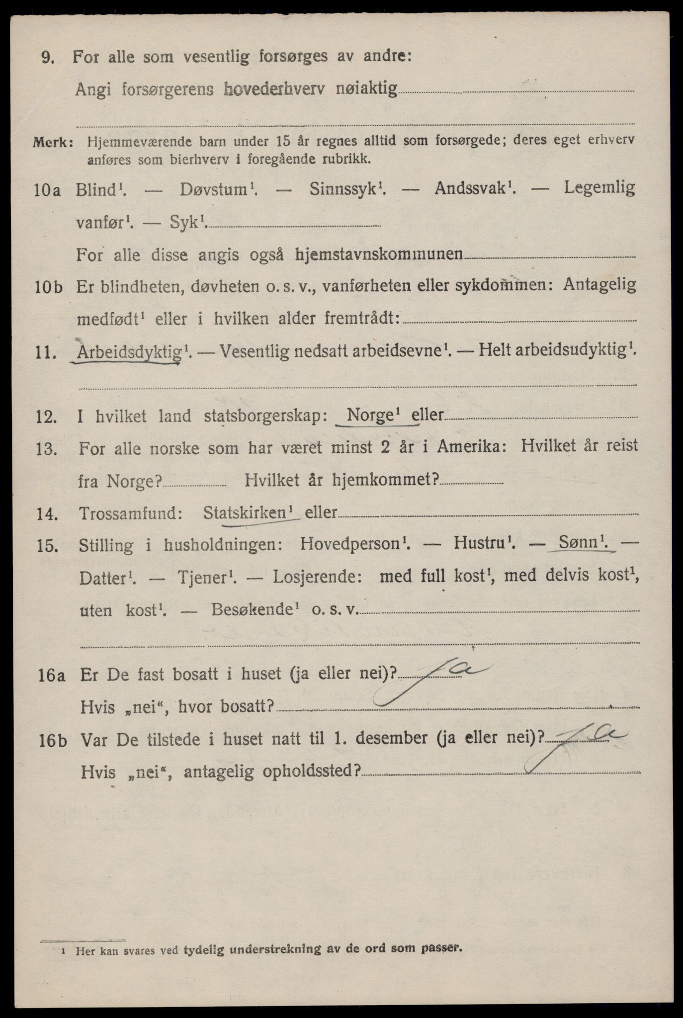 SAST, 1920 census for Hetland, 1920, p. 13104