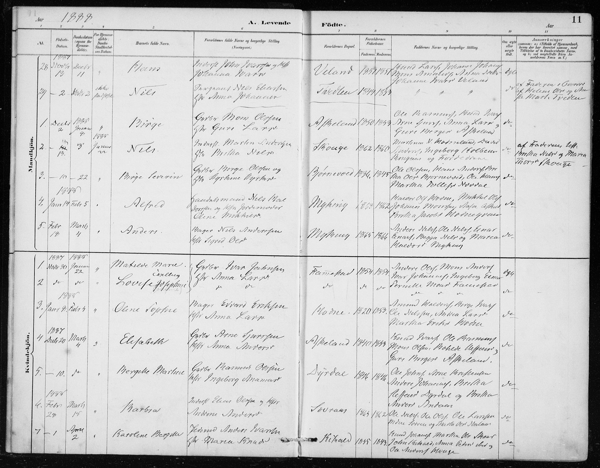 Lindås Sokneprestembete, SAB/A-76701/H/Haa: Parish register (official) no. F  1, 1886-1897, p. 11