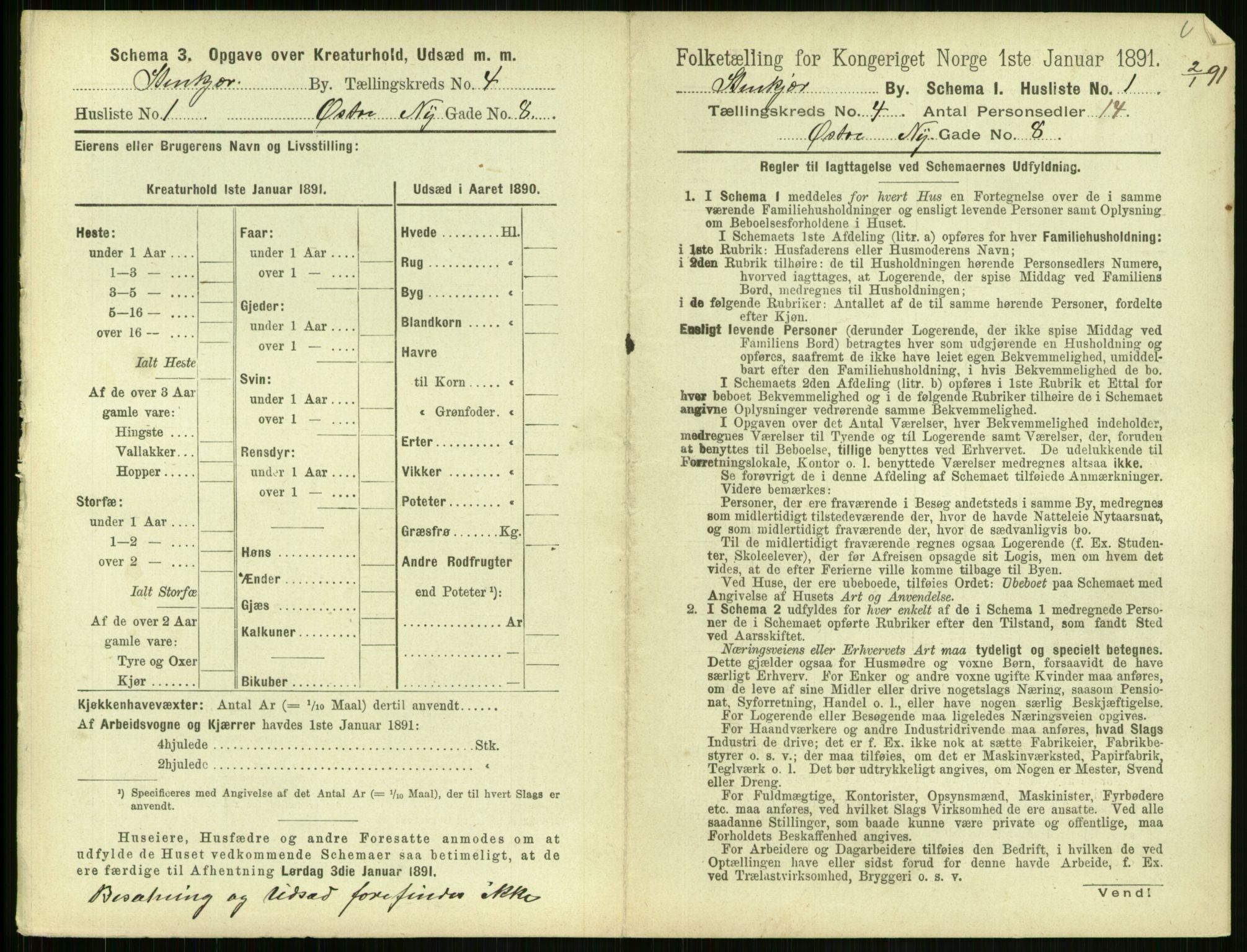 RA, 1891 census for 1702 Steinkjer, 1891, p. 1149