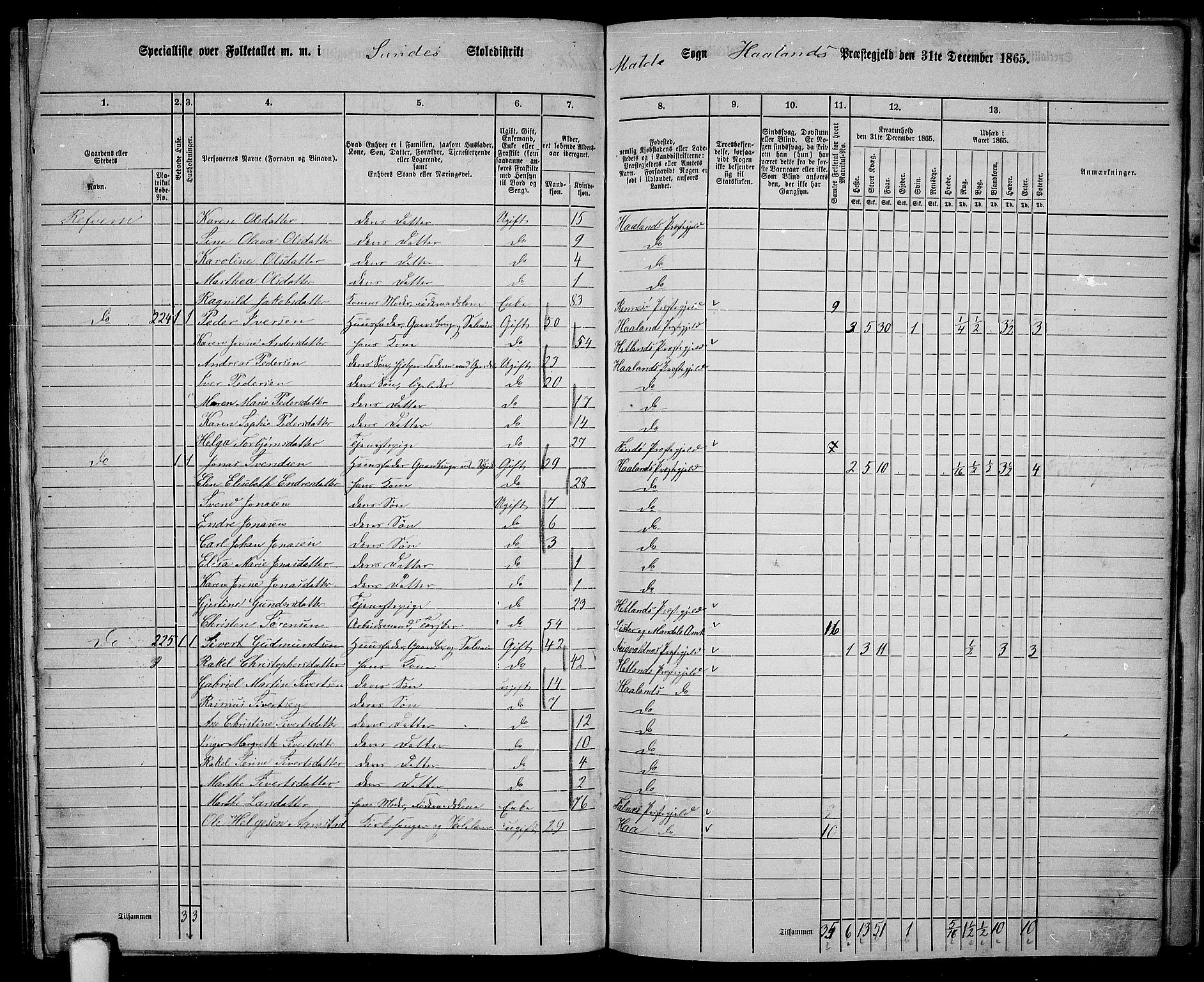 RA, 1865 census for Håland, 1865, p. 107