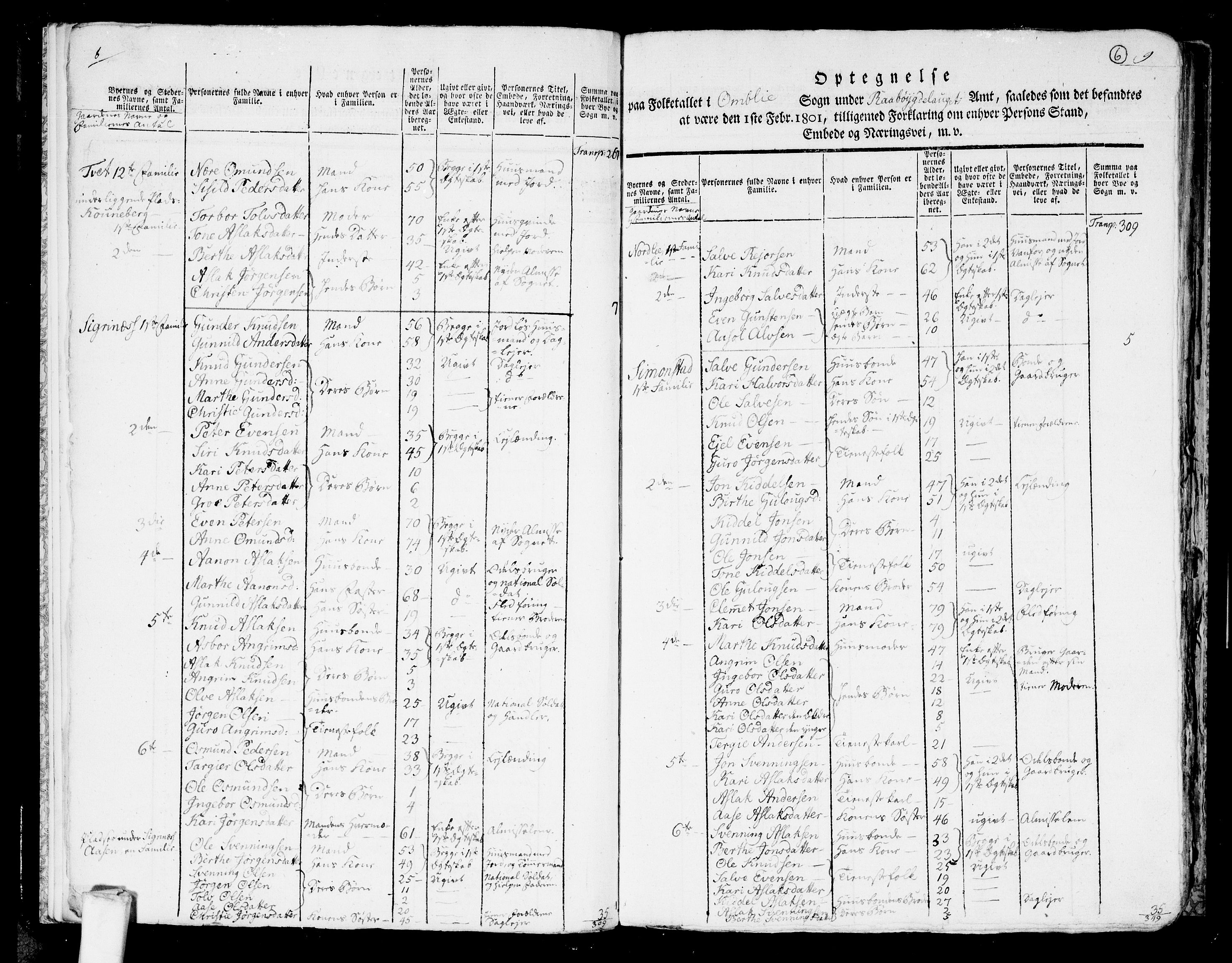 RA, 1801 census for 0929P Åmli, 1801, p. 5b-6a