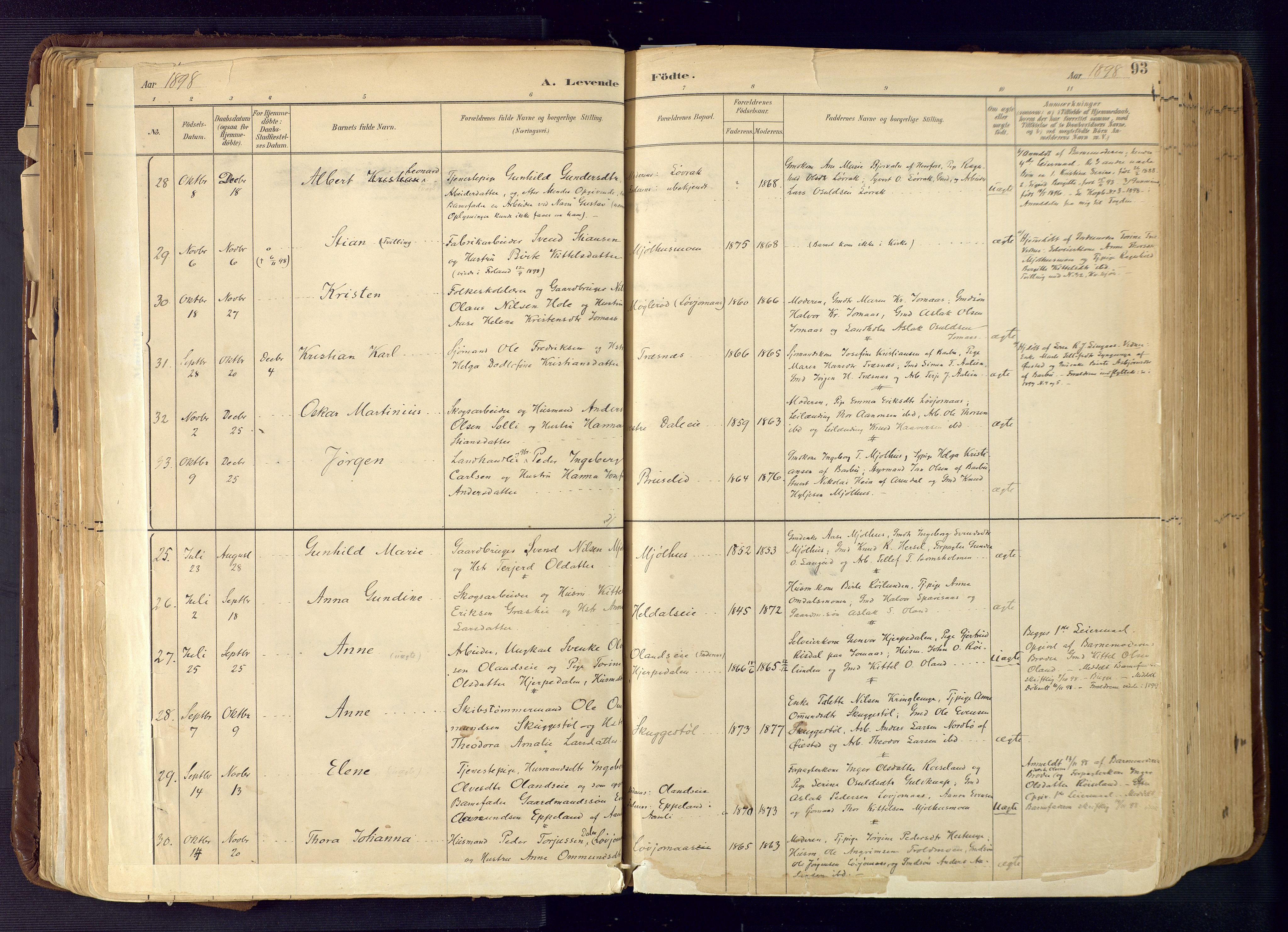 Froland sokneprestkontor, AV/SAK-1111-0013/F/Fa/L0005: Parish register (official) no. A 5, 1882-1921, p. 93