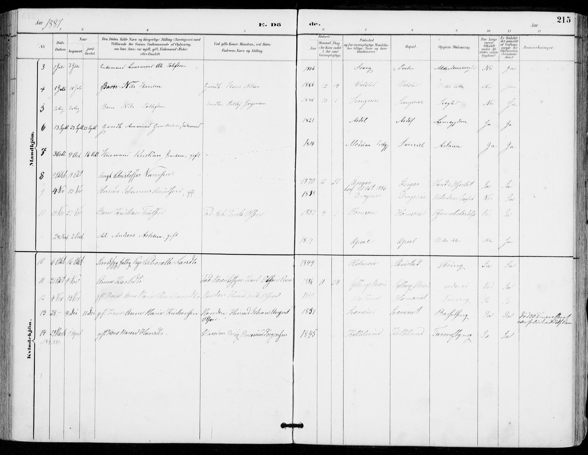 Sylling kirkebøker, AV/SAKO-A-247/F/Fa/L0001: Parish register (official) no. 1, 1883-1910, p. 215