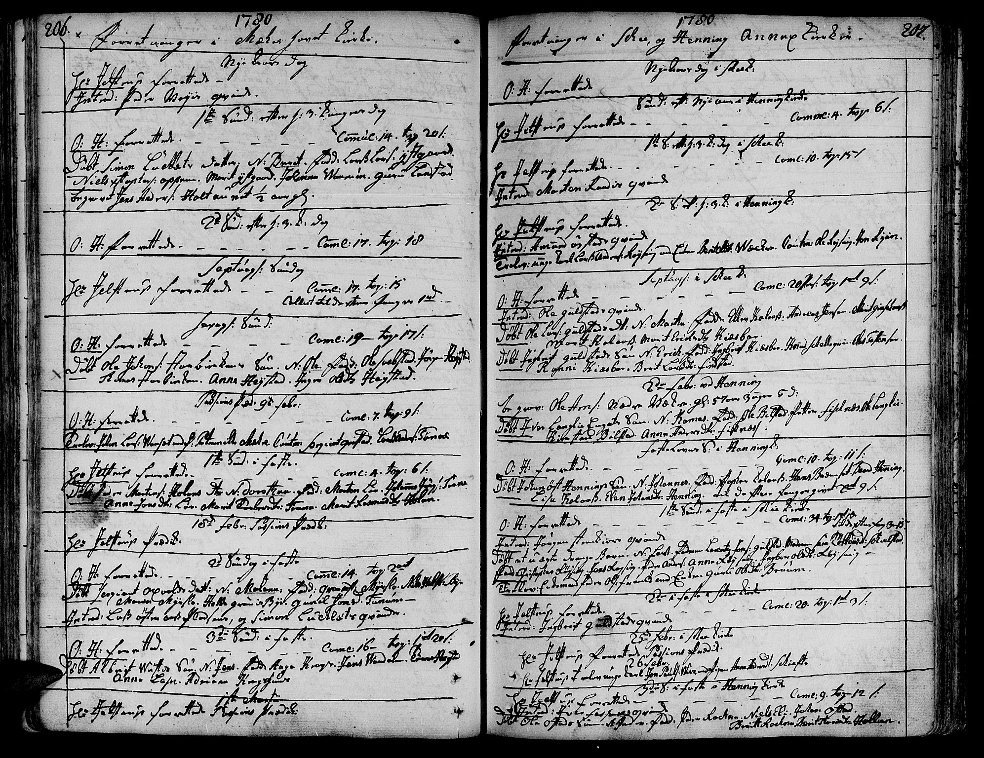 Ministerialprotokoller, klokkerbøker og fødselsregistre - Nord-Trøndelag, AV/SAT-A-1458/735/L0331: Parish register (official) no. 735A02, 1762-1794, p. 206-207