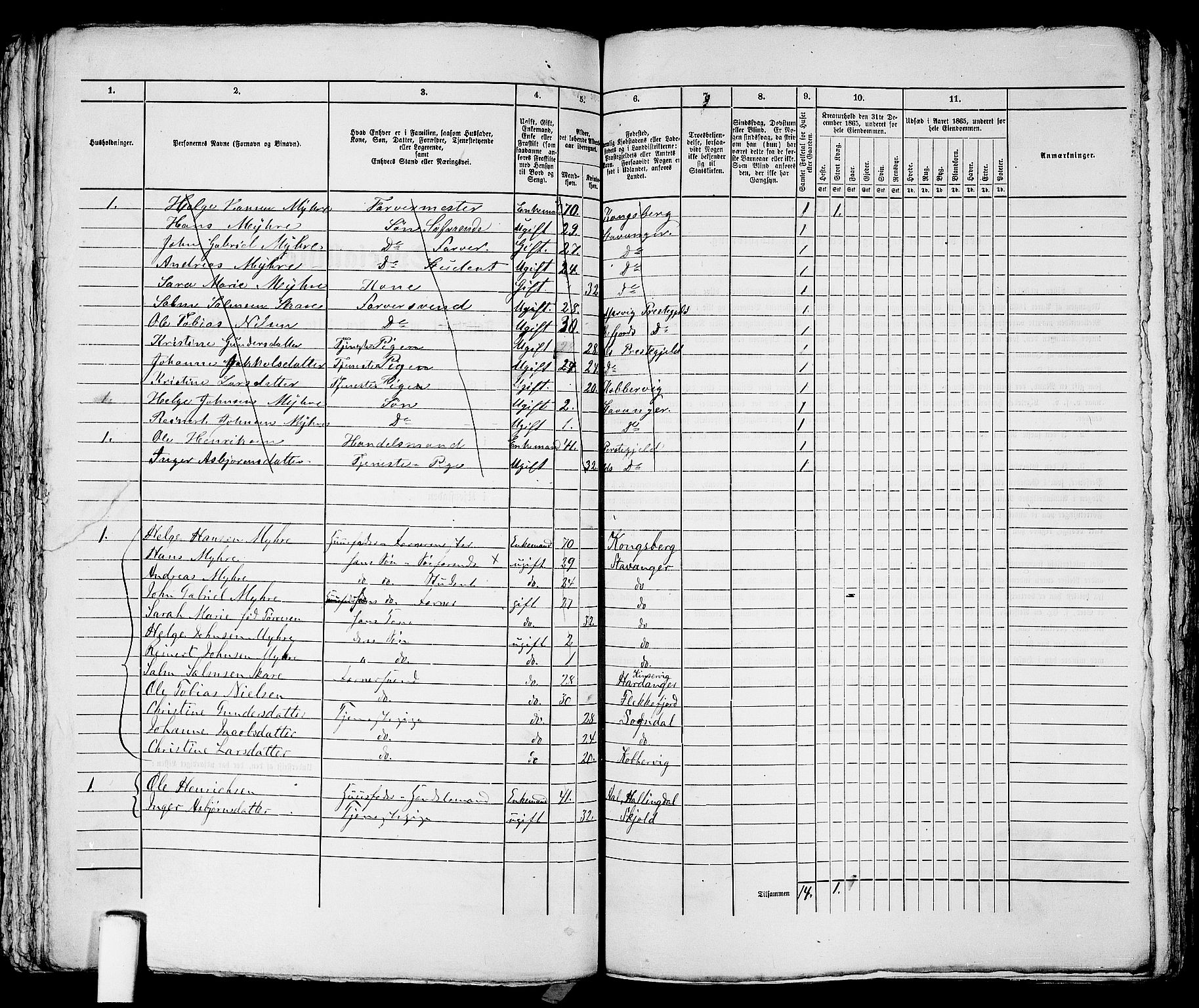 RA, 1865 census for Stavanger, 1865, p. 1738