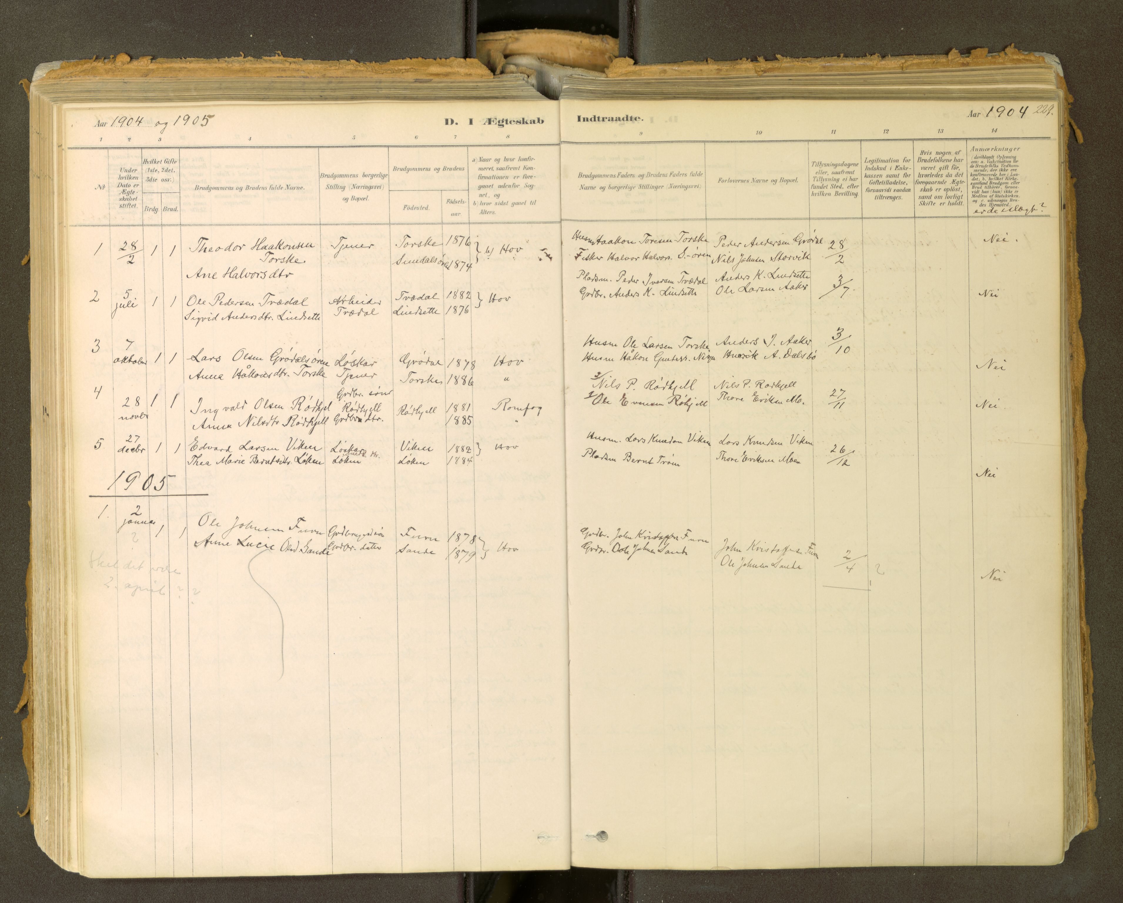 Sunndal sokneprestkontor, SAT/A-1085/1/I/I1/I1a: Parish register (official) no. 2, 1877-1914, p. 229