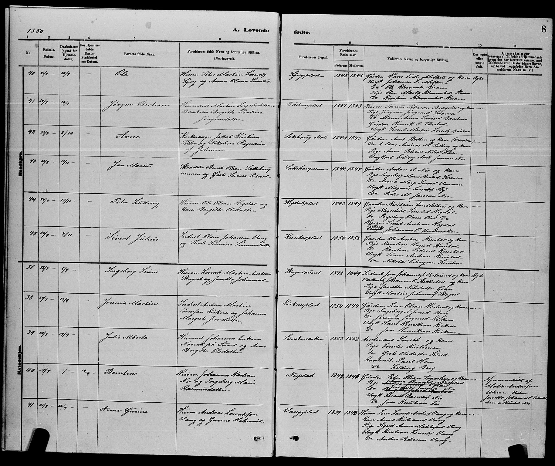 Ministerialprotokoller, klokkerbøker og fødselsregistre - Nord-Trøndelag, AV/SAT-A-1458/730/L0301: Parish register (copy) no. 730C04, 1880-1897, p. 8