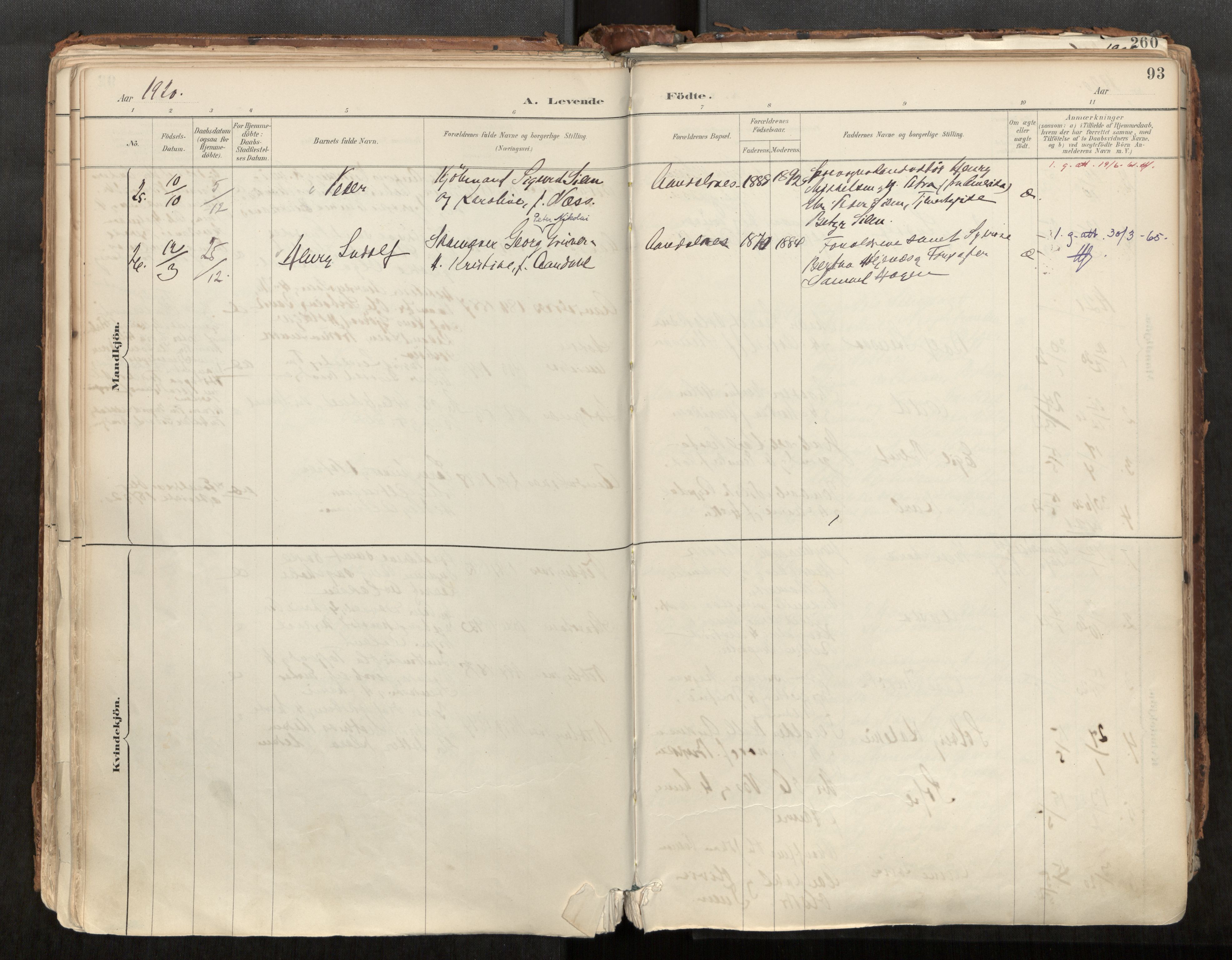 Ministerialprotokoller, klokkerbøker og fødselsregistre - Møre og Romsdal, AV/SAT-A-1454/544/L0585: Parish register (official) no. 544A06, 1887-1924, p. 93