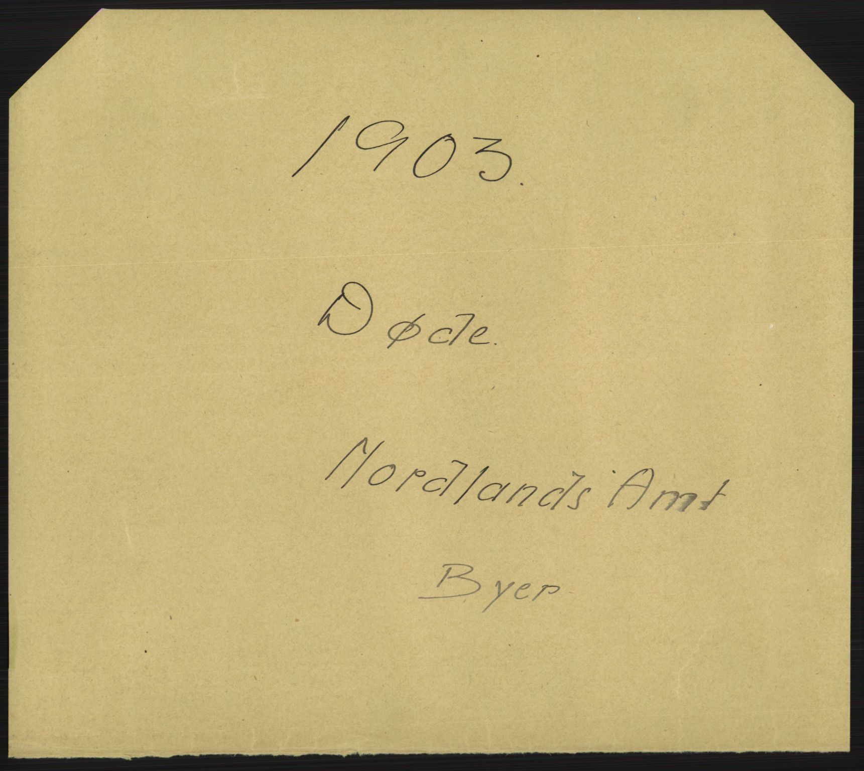 Statistisk sentralbyrå, Sosiodemografiske emner, Befolkning, AV/RA-S-2228/D/Df/Dfa/Dfaa/L0019: Nordlands amt: Fødte, gifte, døde., 1903, p. 531