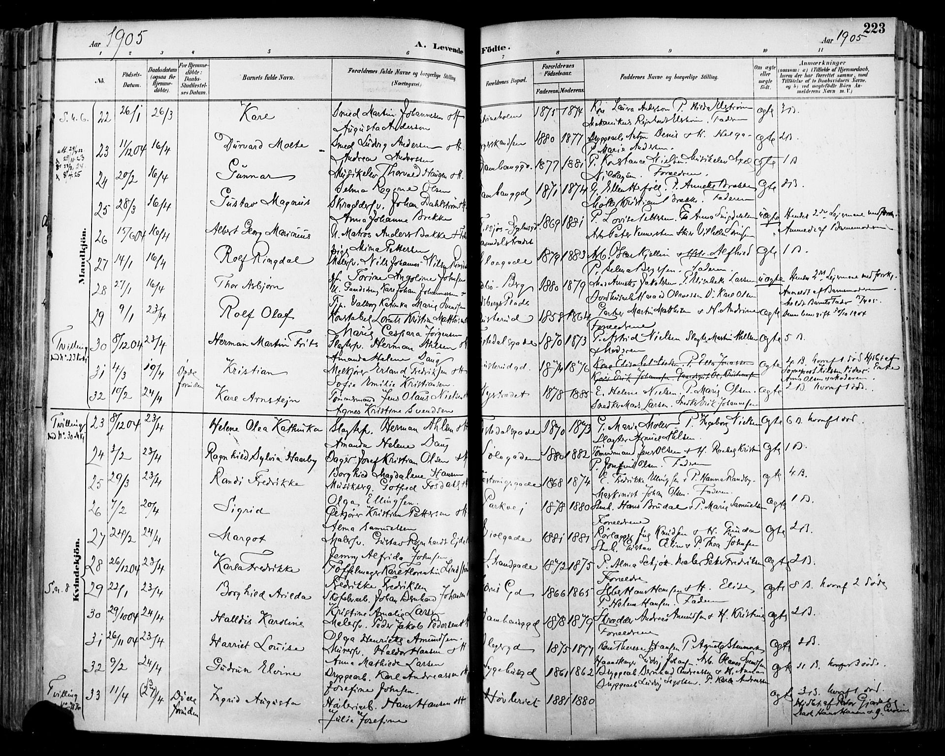 Halden prestekontor Kirkebøker, SAO/A-10909/F/Fa/L0013: Parish register (official) no. I 13, 1890-1906, p. 223
