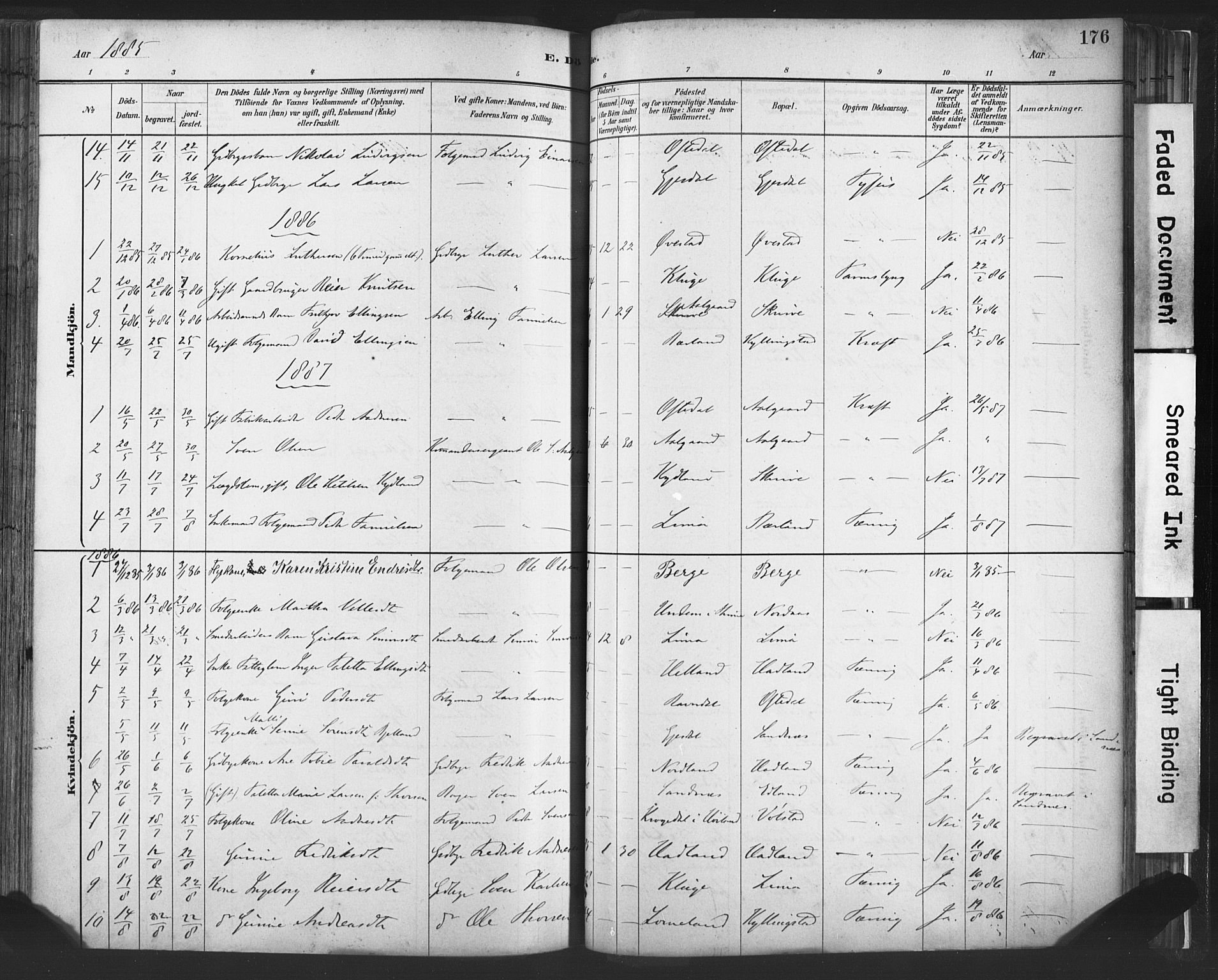 Lye sokneprestkontor, SAST/A-101794/001/30BA/L0010: Parish register (official) no. A 10, 1881-1896, p. 176