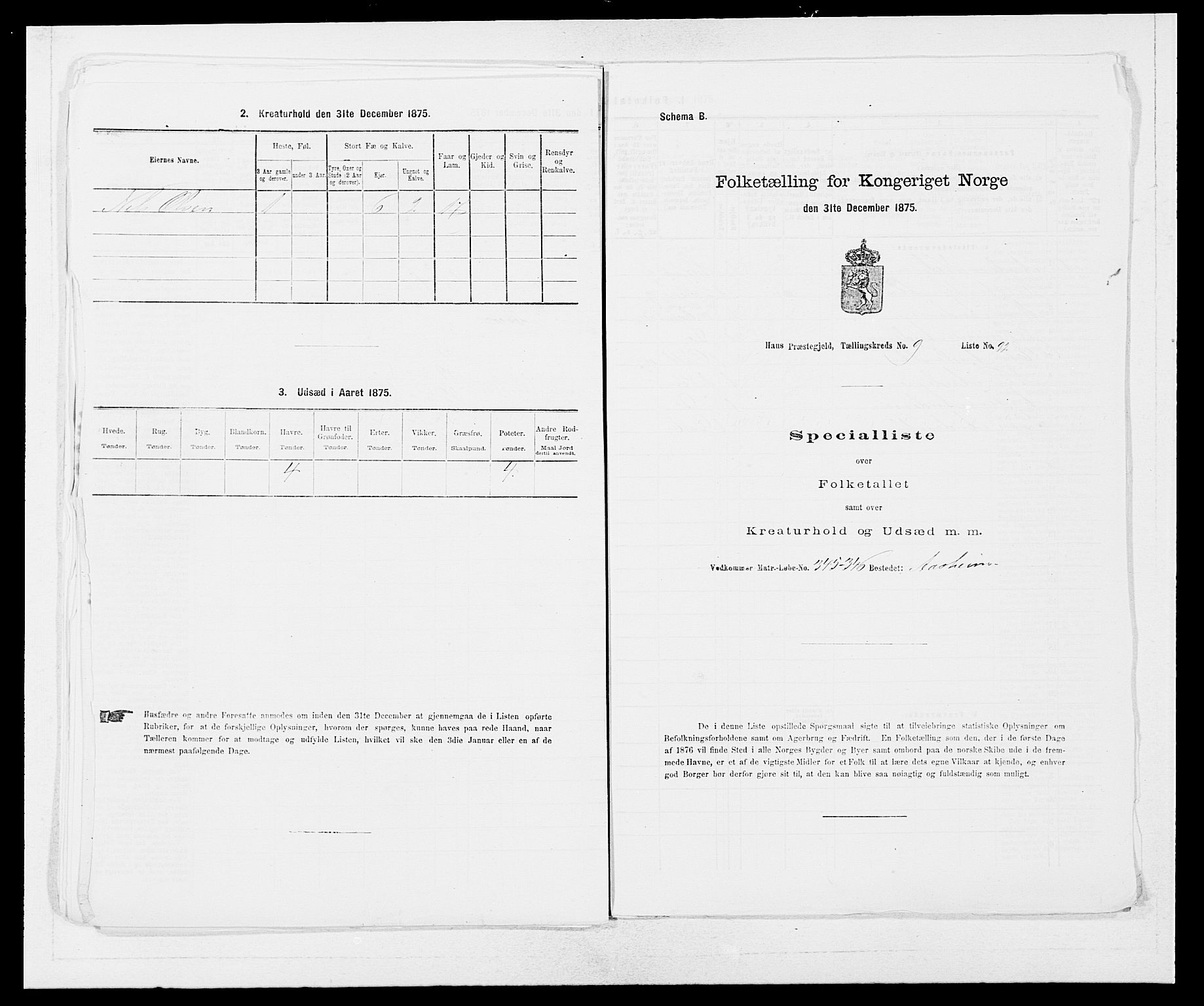 SAB, 1875 census for 1250P Haus, 1875, p. 1168