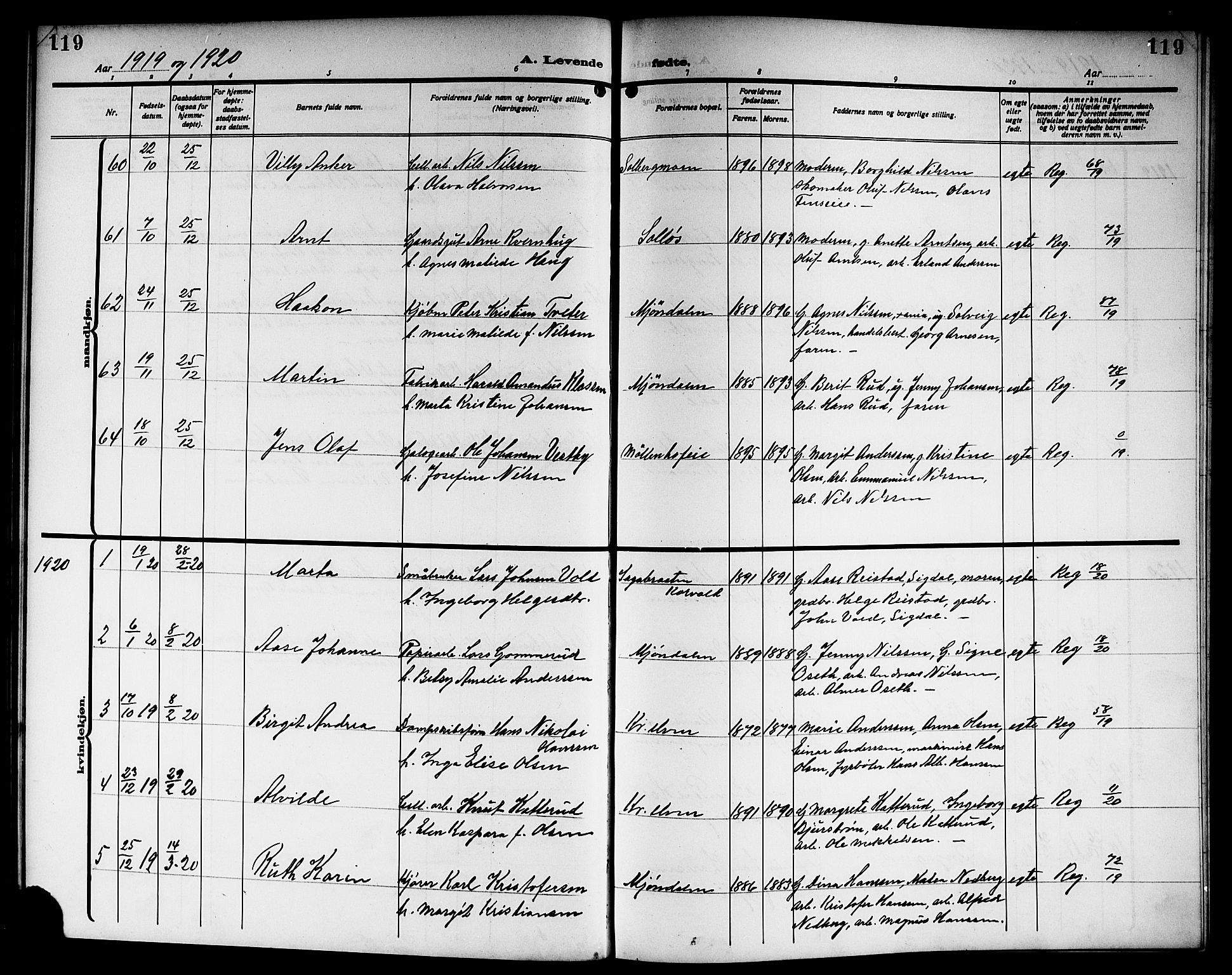 Nedre Eiker kirkebøker, SAKO/A-612/G/Ga/L0005: Parish register (copy) no. 5, 1913-1921, p. 119
