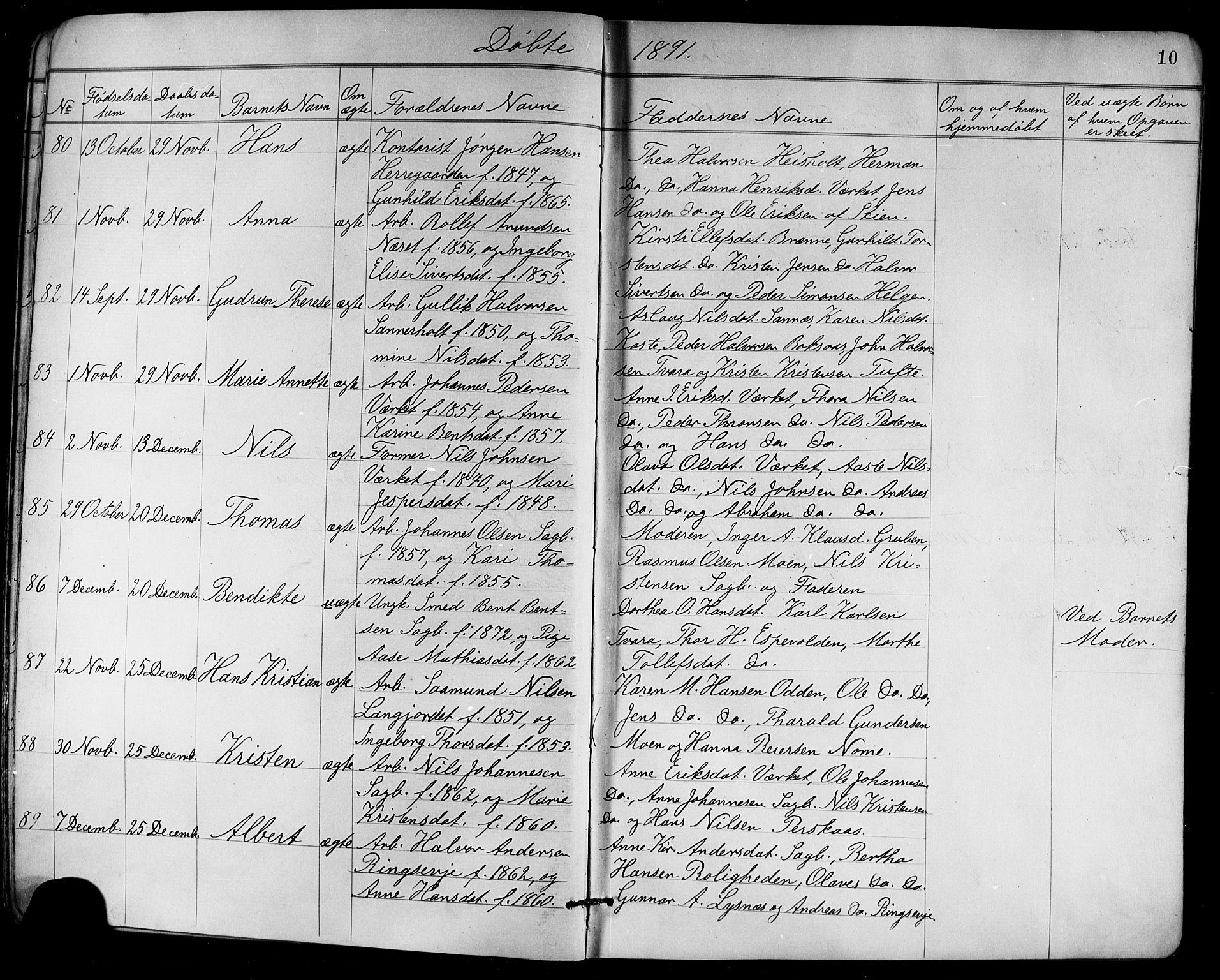 Holla kirkebøker, SAKO/A-272/G/Ga/L0005: Parish register (copy) no. I 5, 1891-1917, p. 10
