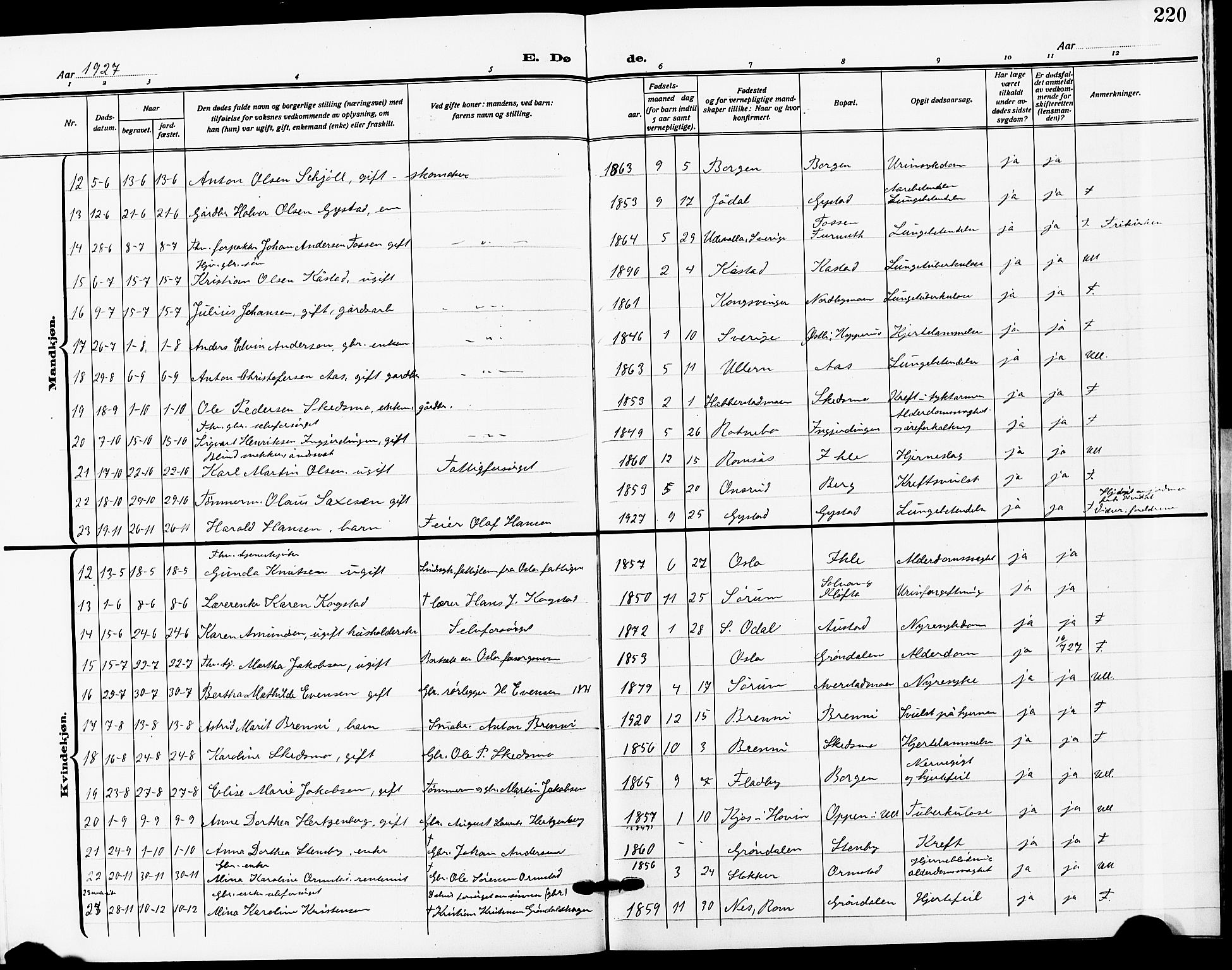 Ullensaker prestekontor Kirkebøker, SAO/A-10236a/G/Ga/L0003: Parish register (copy) no. I 3, 1914-1929, p. 220