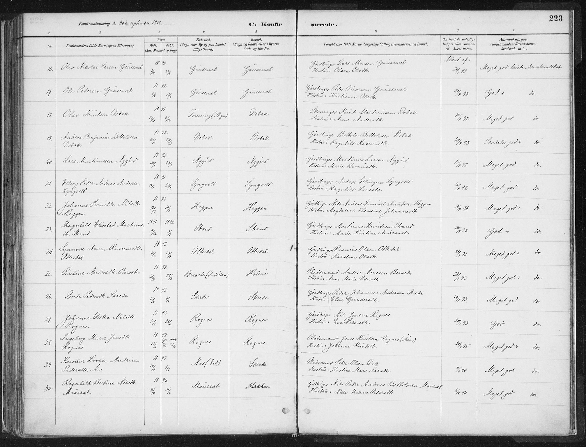 Hornindal sokneprestembete, AV/SAB-A-82401/H/Haa/Haaa/L0003/0001: Parish register (official) no. A 3A, 1887-1917, p. 223