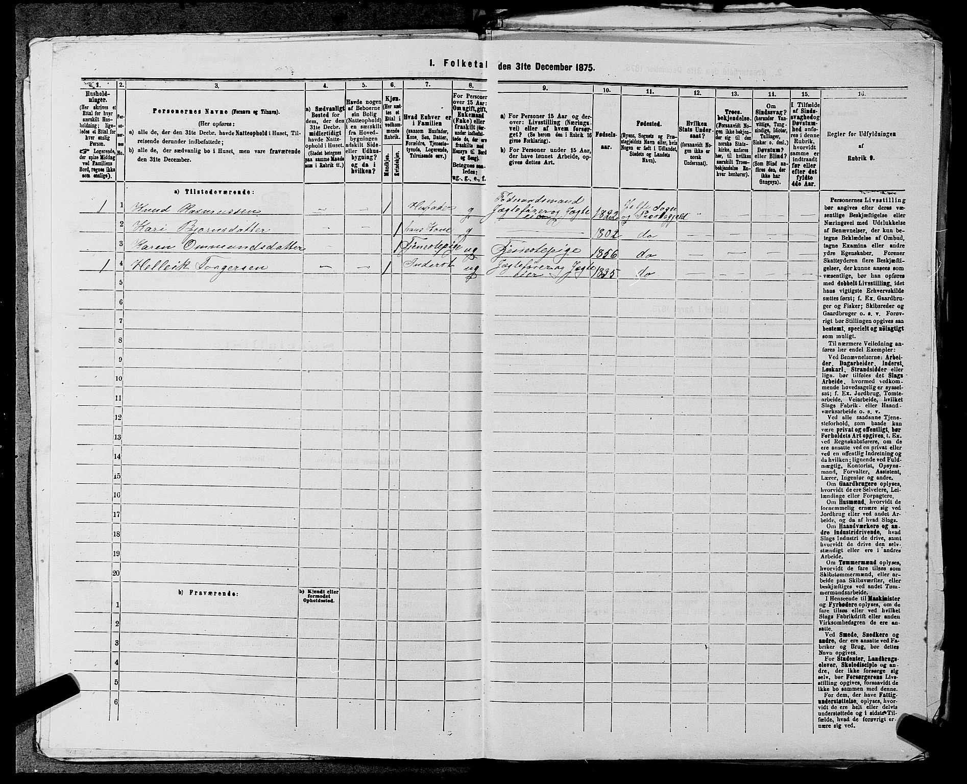 SAST, 1875 census for 1138P Jelsa, 1875, p. 852