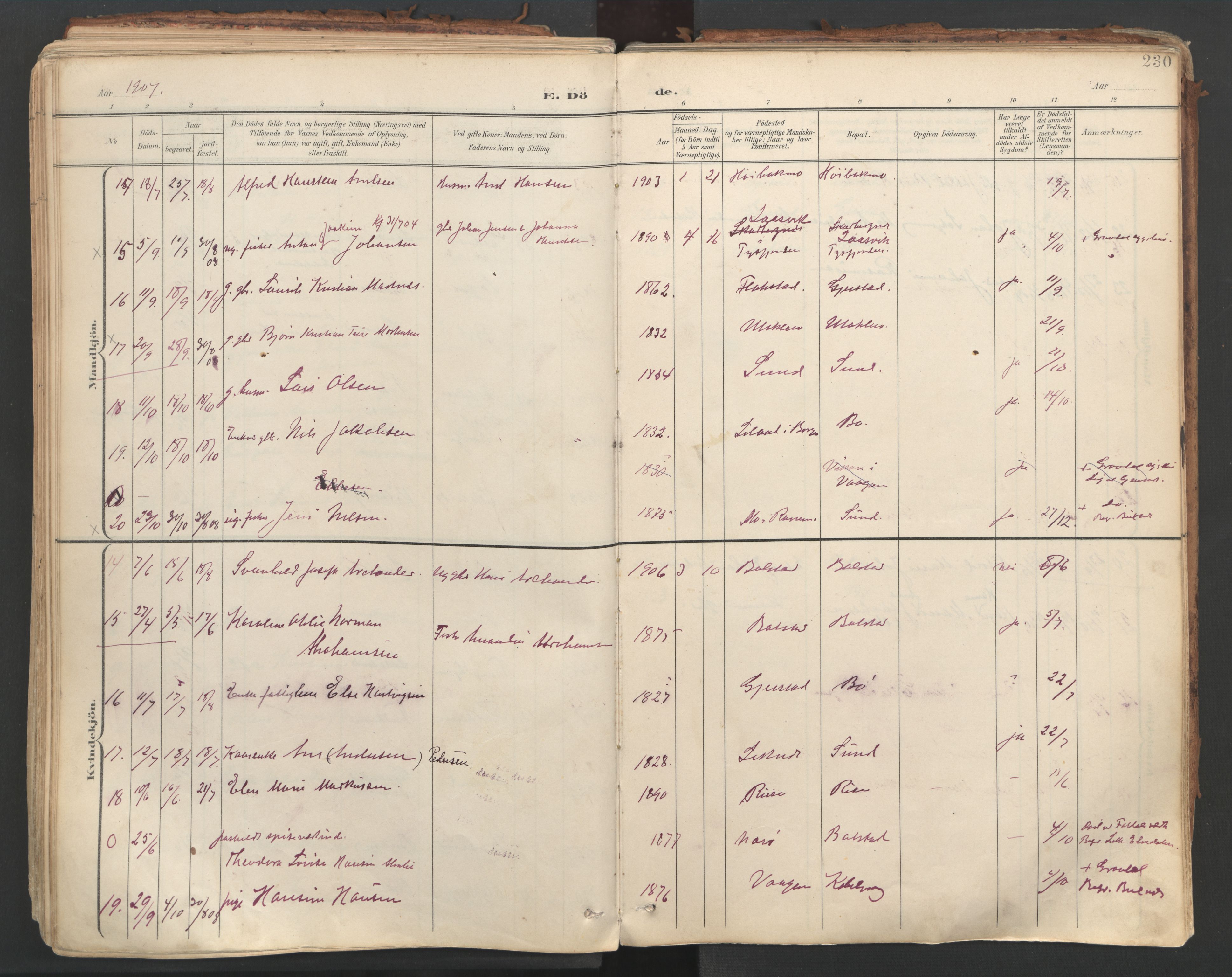 Ministerialprotokoller, klokkerbøker og fødselsregistre - Nordland, AV/SAT-A-1459/881/L1154: Parish register (official) no. 881A07, 1907-1918, p. 230