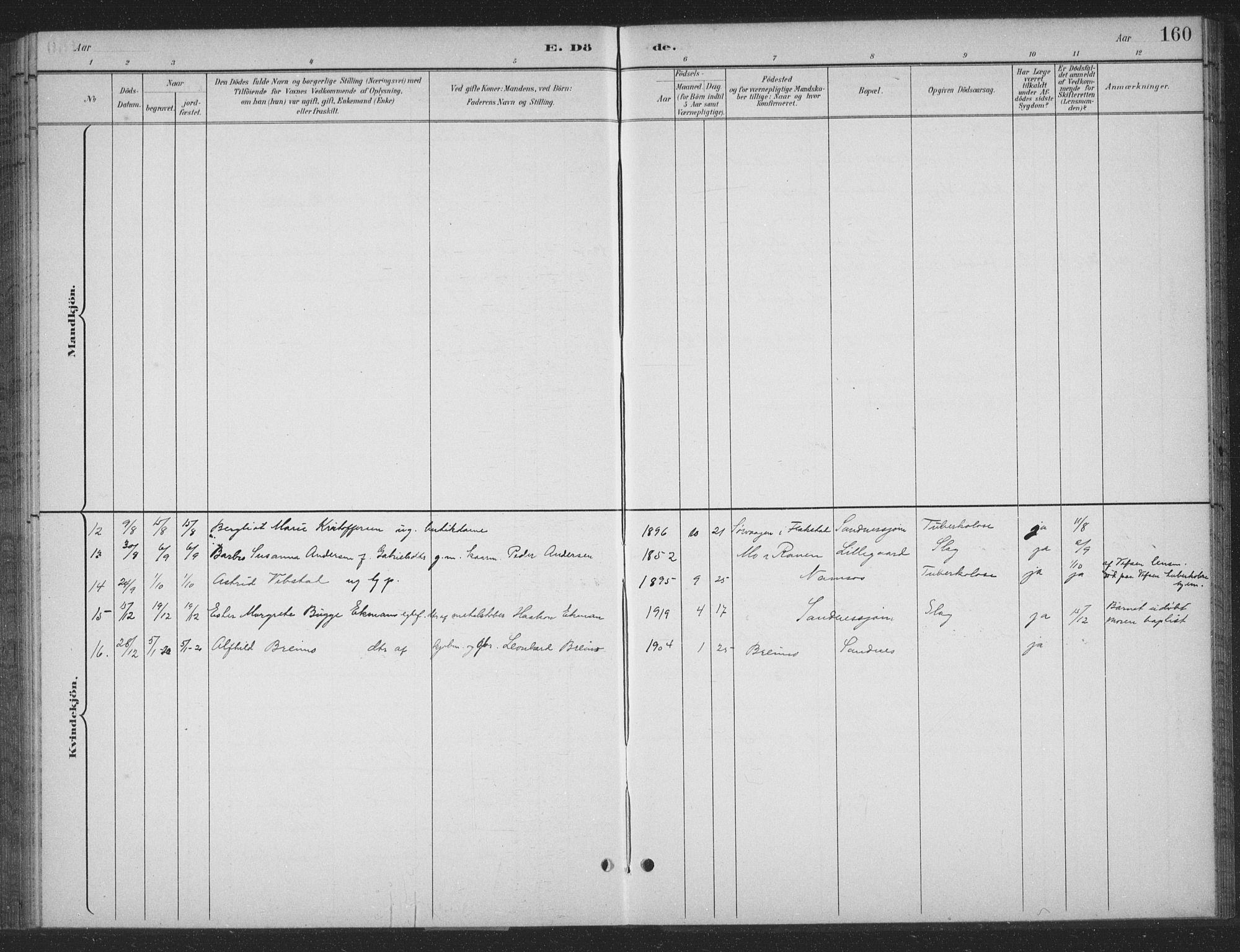 Ministerialprotokoller, klokkerbøker og fødselsregistre - Nordland, AV/SAT-A-1459/831/L0479: Parish register (copy) no. 831C06, 1897-1936, p. 160