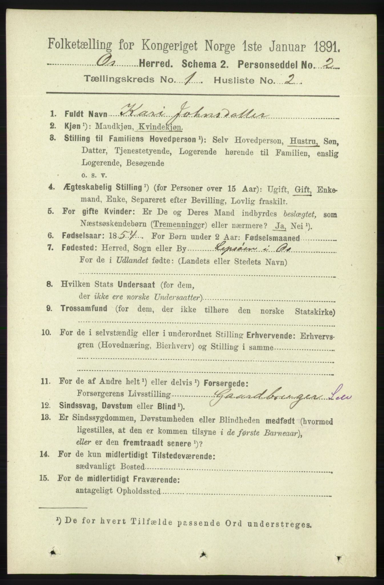 RA, 1891 census for 1243 Os, 1891, p. 95