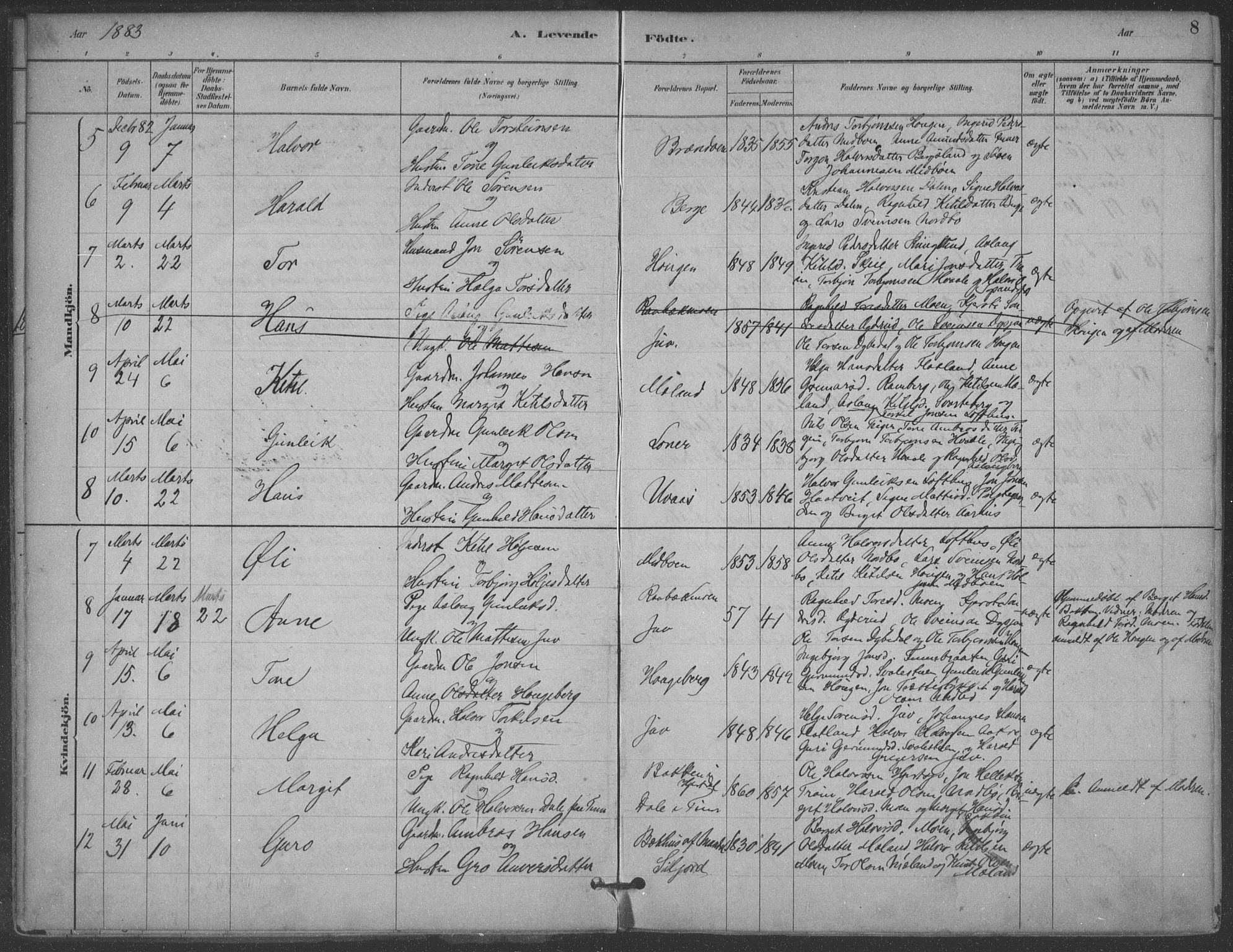 Hjartdal kirkebøker, SAKO/A-270/F/Fa/L0010: Parish register (official) no. I 10, 1880-1929, p. 8