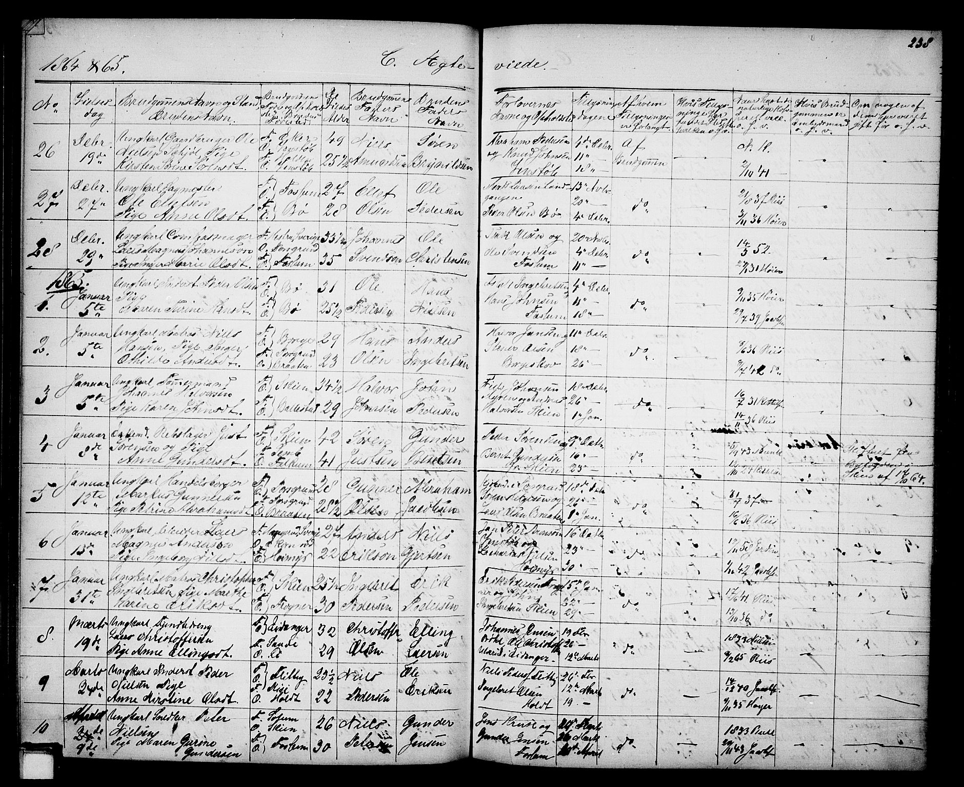 Gjerpen kirkebøker, SAKO/A-265/G/Ga/L0001: Parish register (copy) no. I 1, 1864-1882, p. 238
