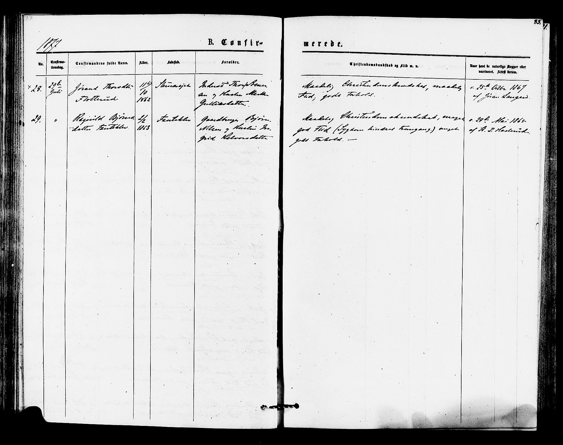 Rollag kirkebøker, AV/SAKO-A-240/F/Fa/L0010: Parish register (official) no. I 10, 1874-1877, p. 85