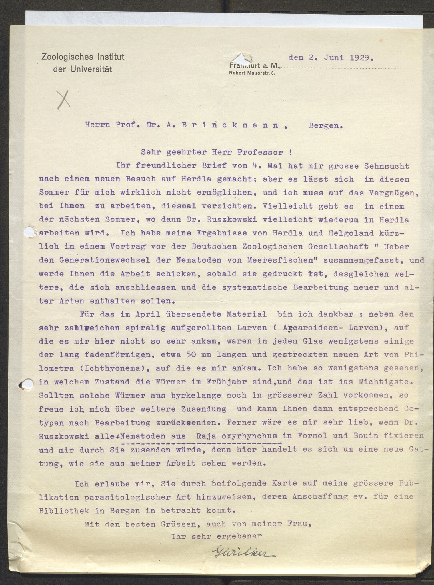 Bergens Museum, AV/SAB-A-17301/13/D/L0002: Korrespondanse , 1928-1940, p. 307