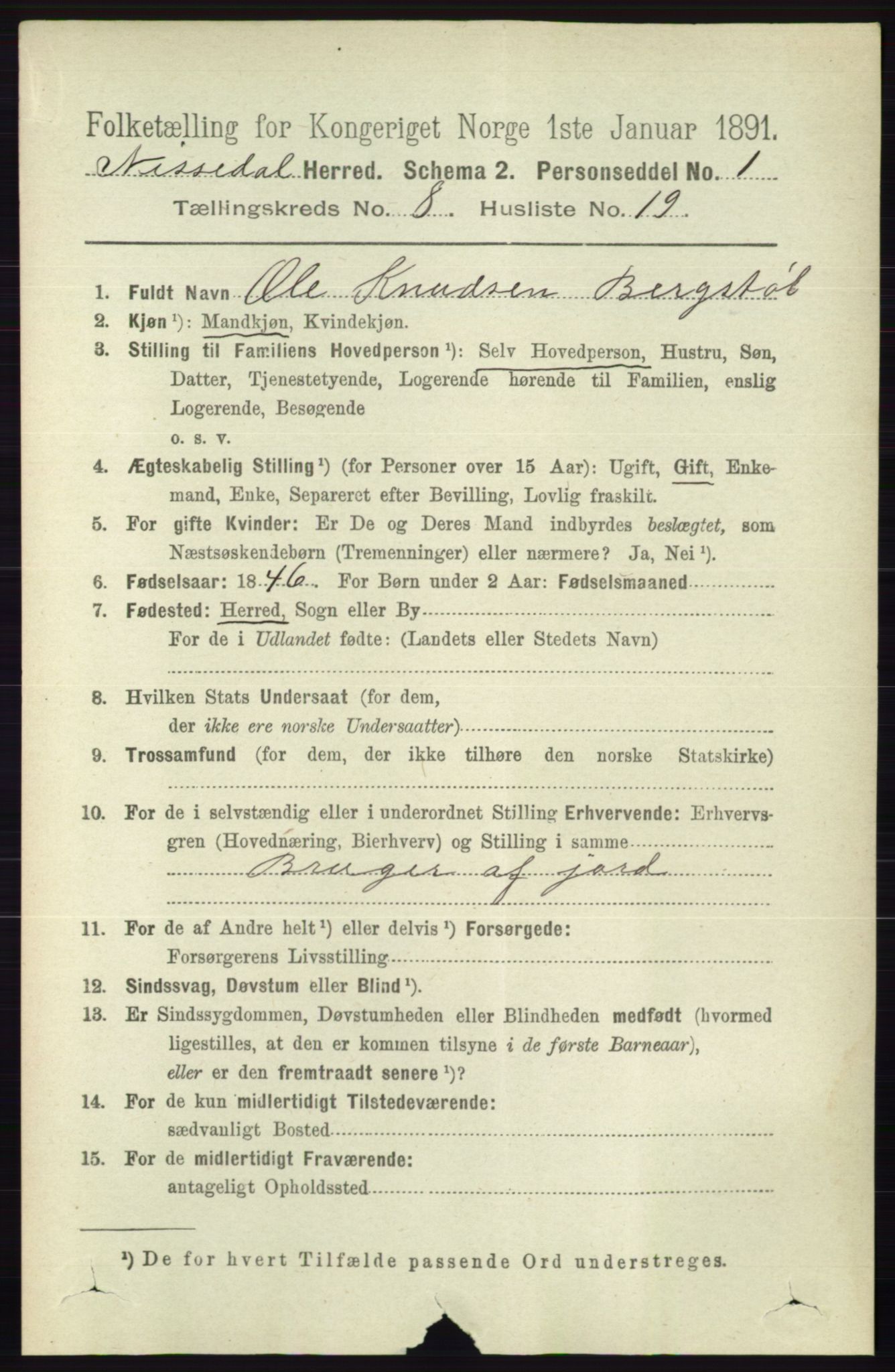 RA, 1891 census for 0830 Nissedal, 1891, p. 1804