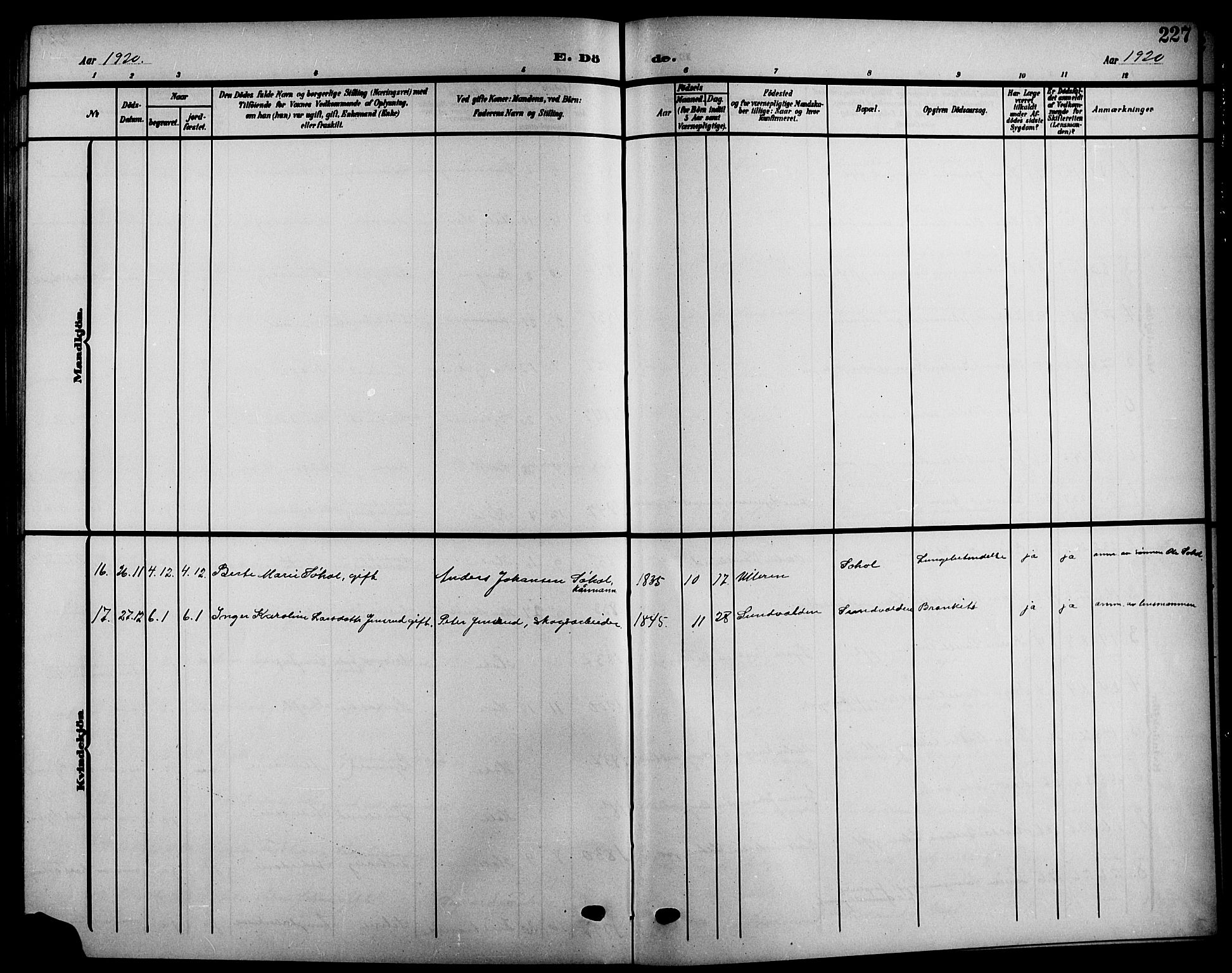 Hole kirkebøker, AV/SAKO-A-228/G/Ga/L0004: Parish register (copy) no. I 4, 1905-1924, p. 227