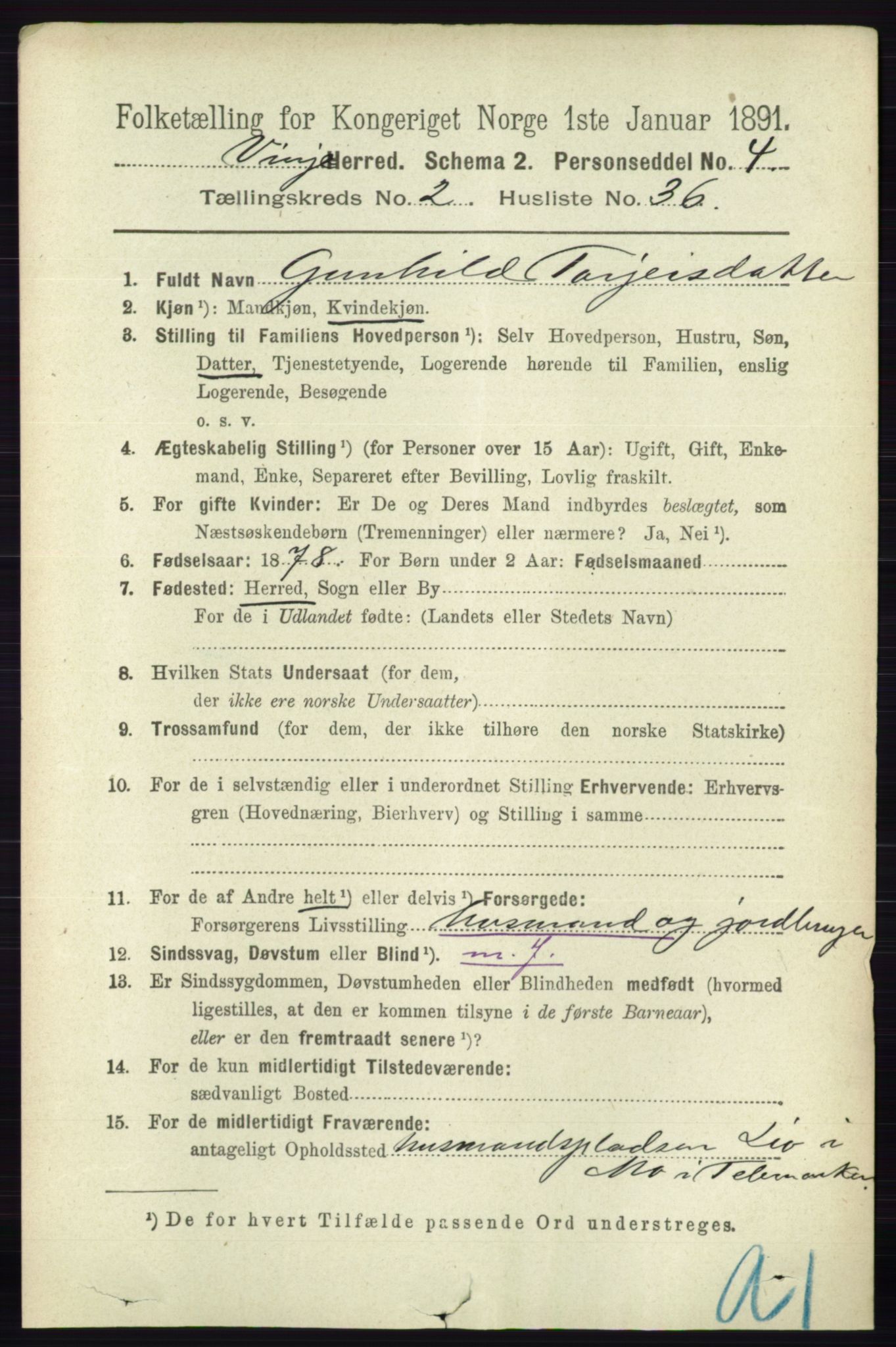 RA, 1891 census for 0834 Vinje, 1891, p. 595