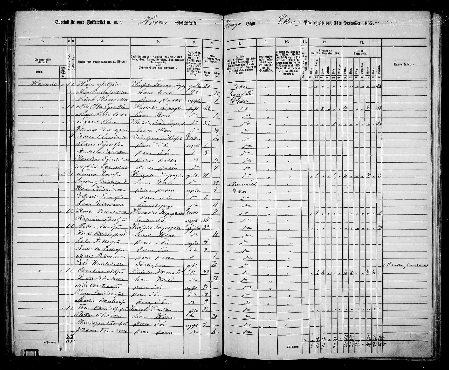 RA, 1865 census for Eiker, 1865, p. 126