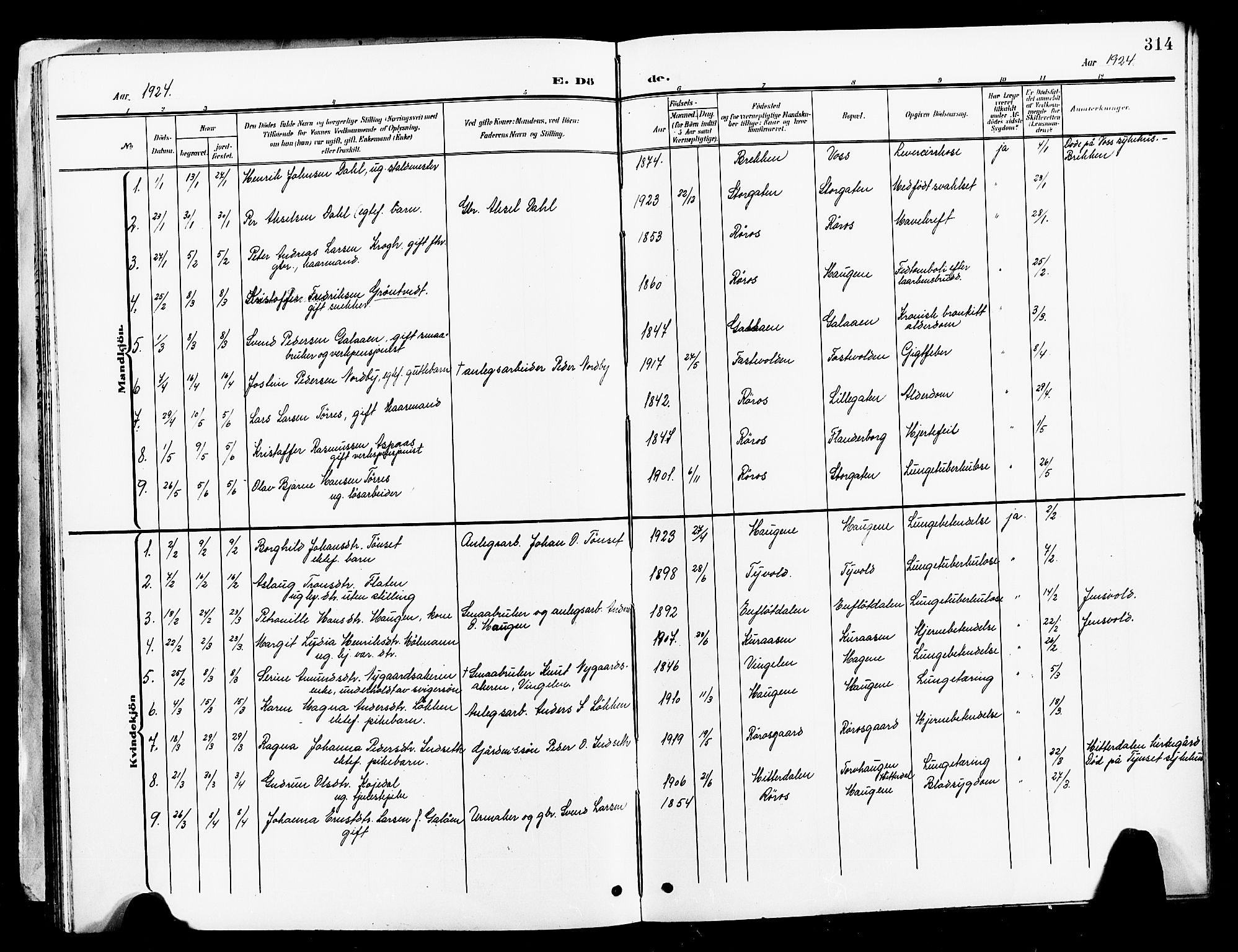 Ministerialprotokoller, klokkerbøker og fødselsregistre - Sør-Trøndelag, SAT/A-1456/681/L0942: Parish register (copy) no. 681C06, 1906-1925, p. 314