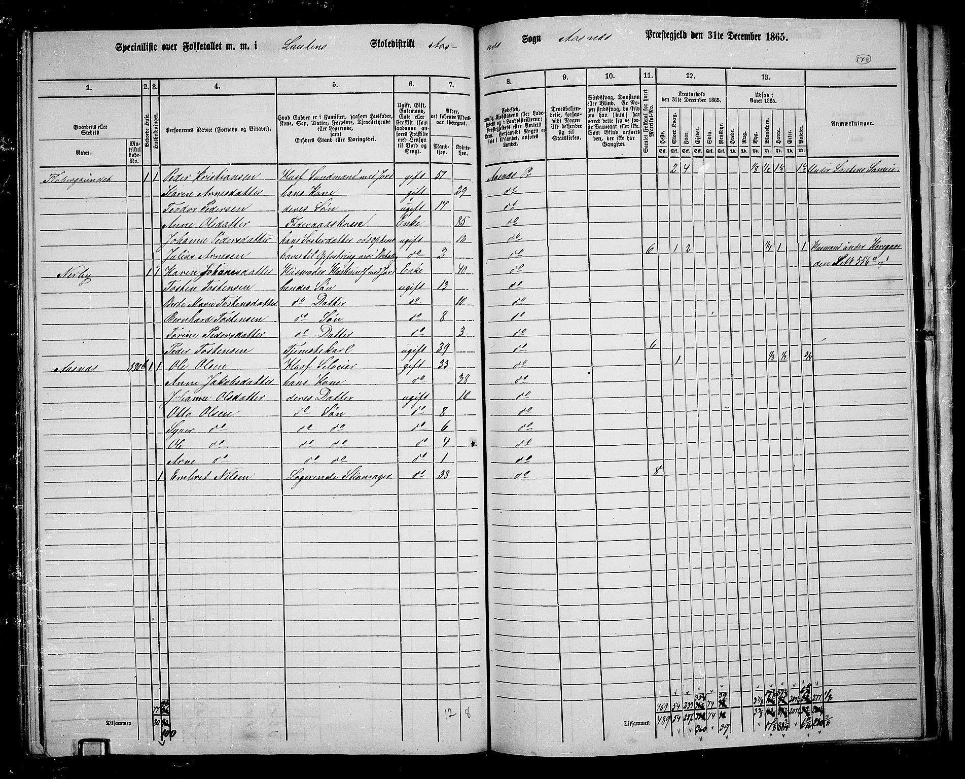 RA, 1865 census for Åsnes, 1865, p. 166