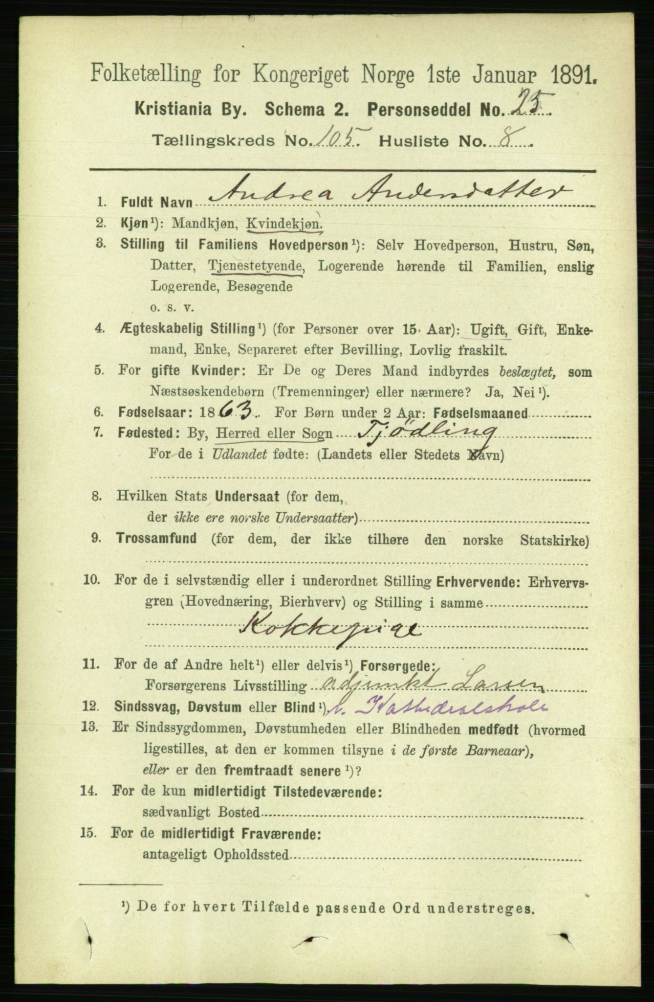 RA, 1891 census for 0301 Kristiania, 1891, p. 53190