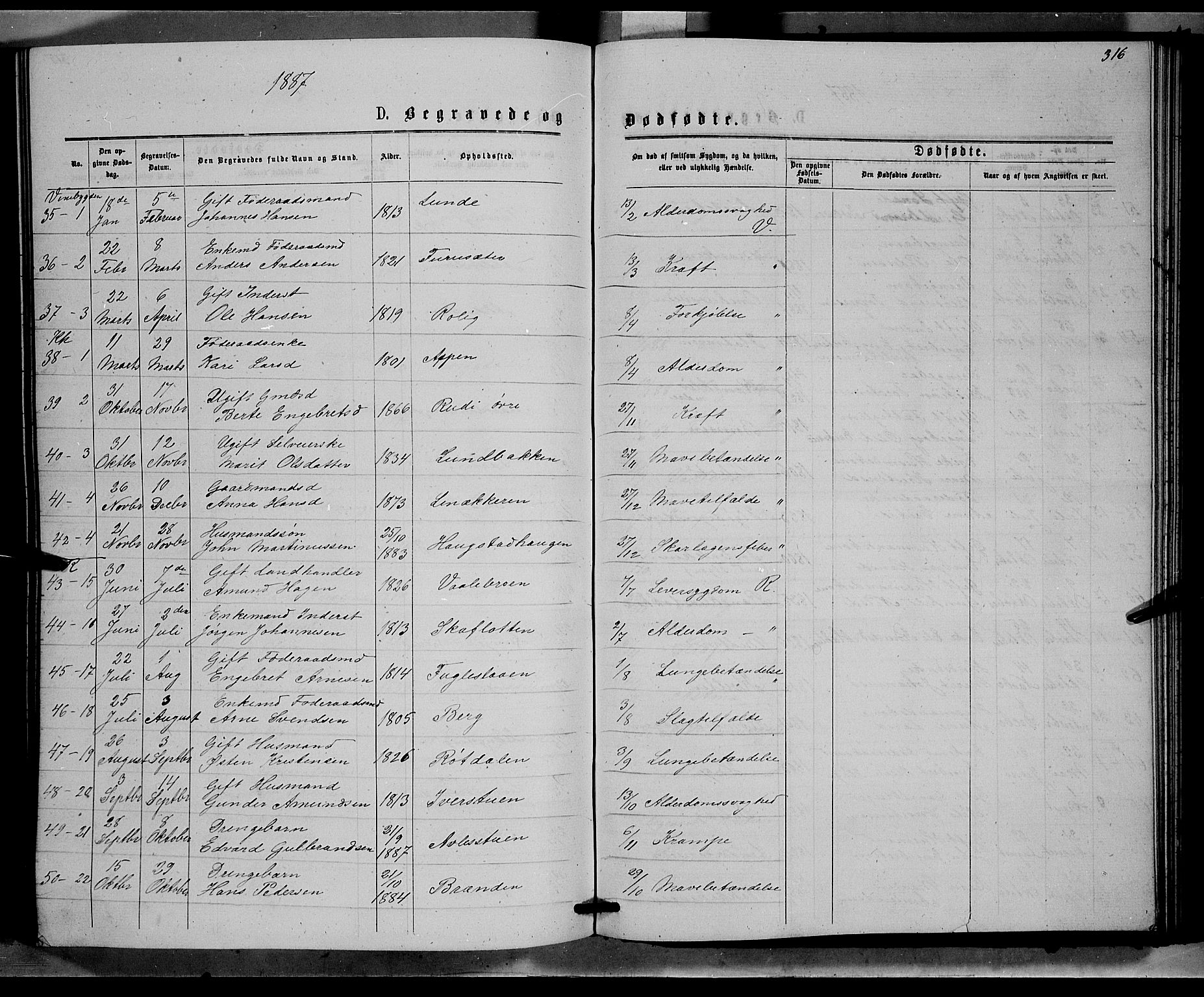 Ringebu prestekontor, SAH/PREST-082/H/Ha/Hab/L0006: Parish register (copy) no. 6, 1880-1898, p. 316